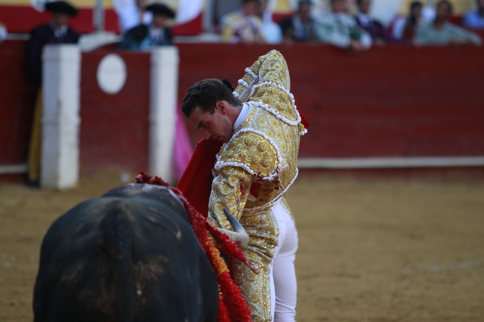 Imágenes de la corrida de toros del jueves en la Feria de Almería 2024