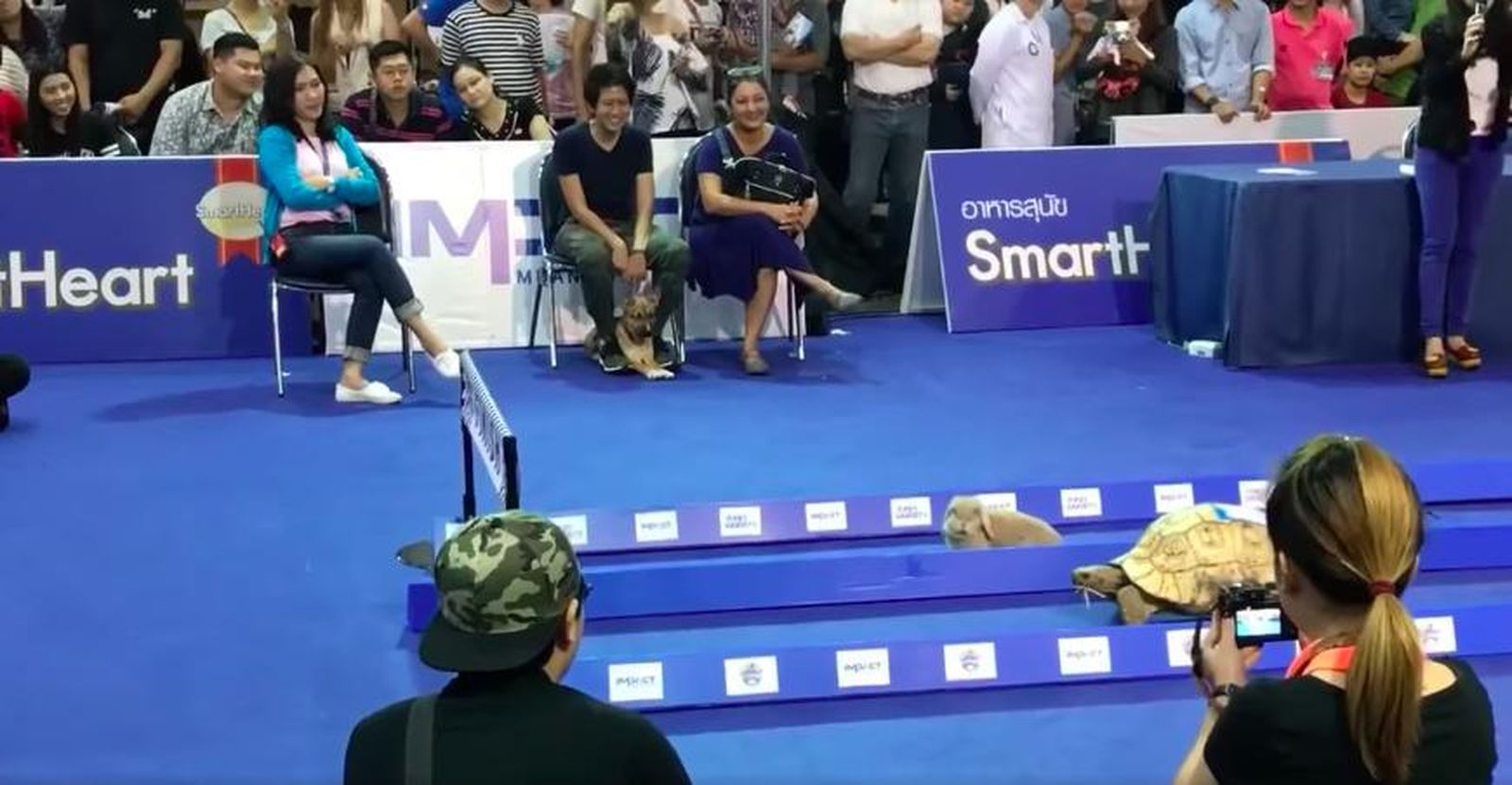 La fábula de la liebre y la tortuga se convierte realidad en esta competición