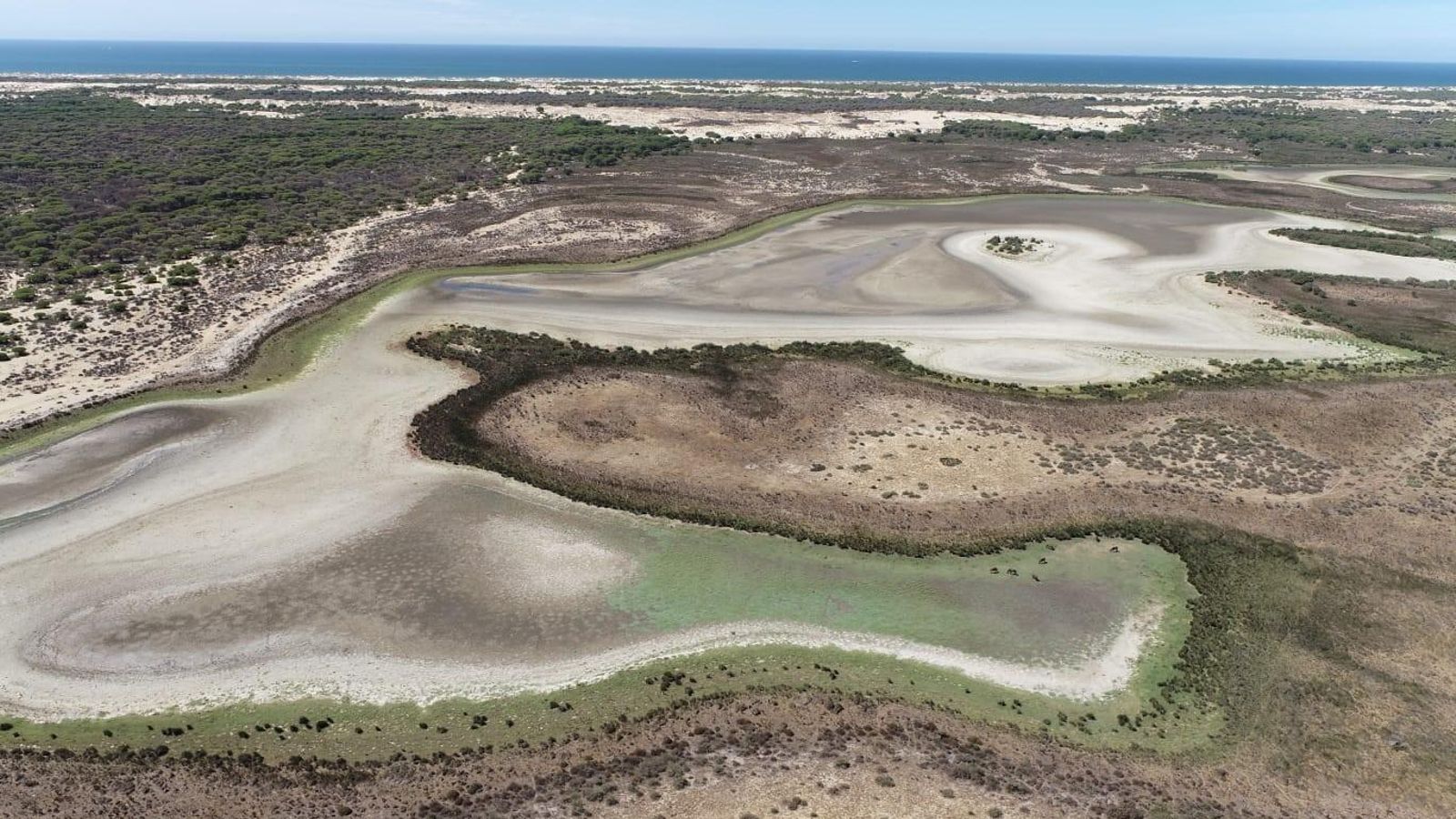 Estado que presenta la laguna de Santa Olalla.