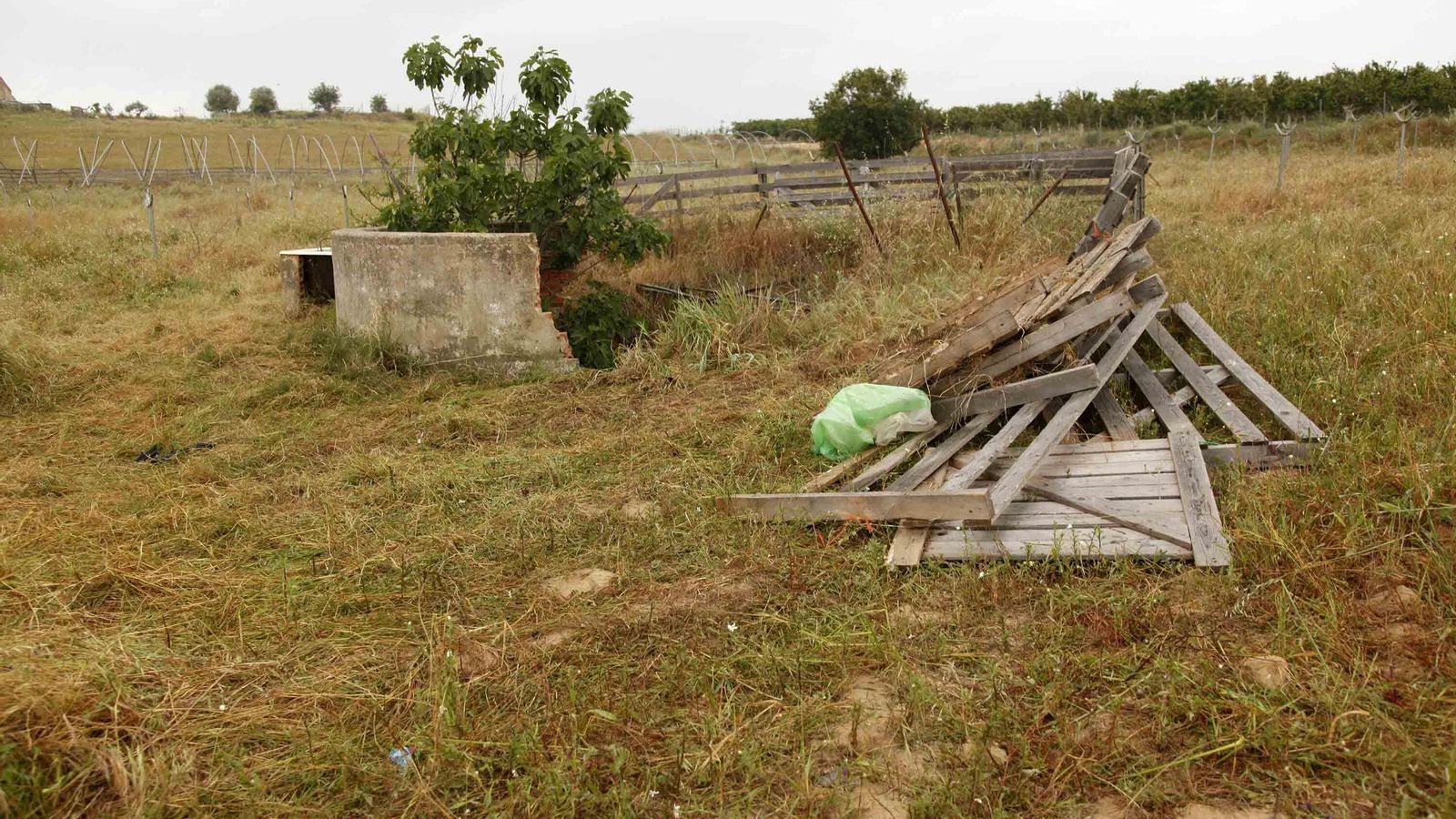 El pozo del camino de Los Bayos de donde fueron rescatados los cuerpos el 16 de abril de 2019. El pozo del camino de Los Bayos de donde fueron rescatados los cuerpos el 16 de abril de 2019.