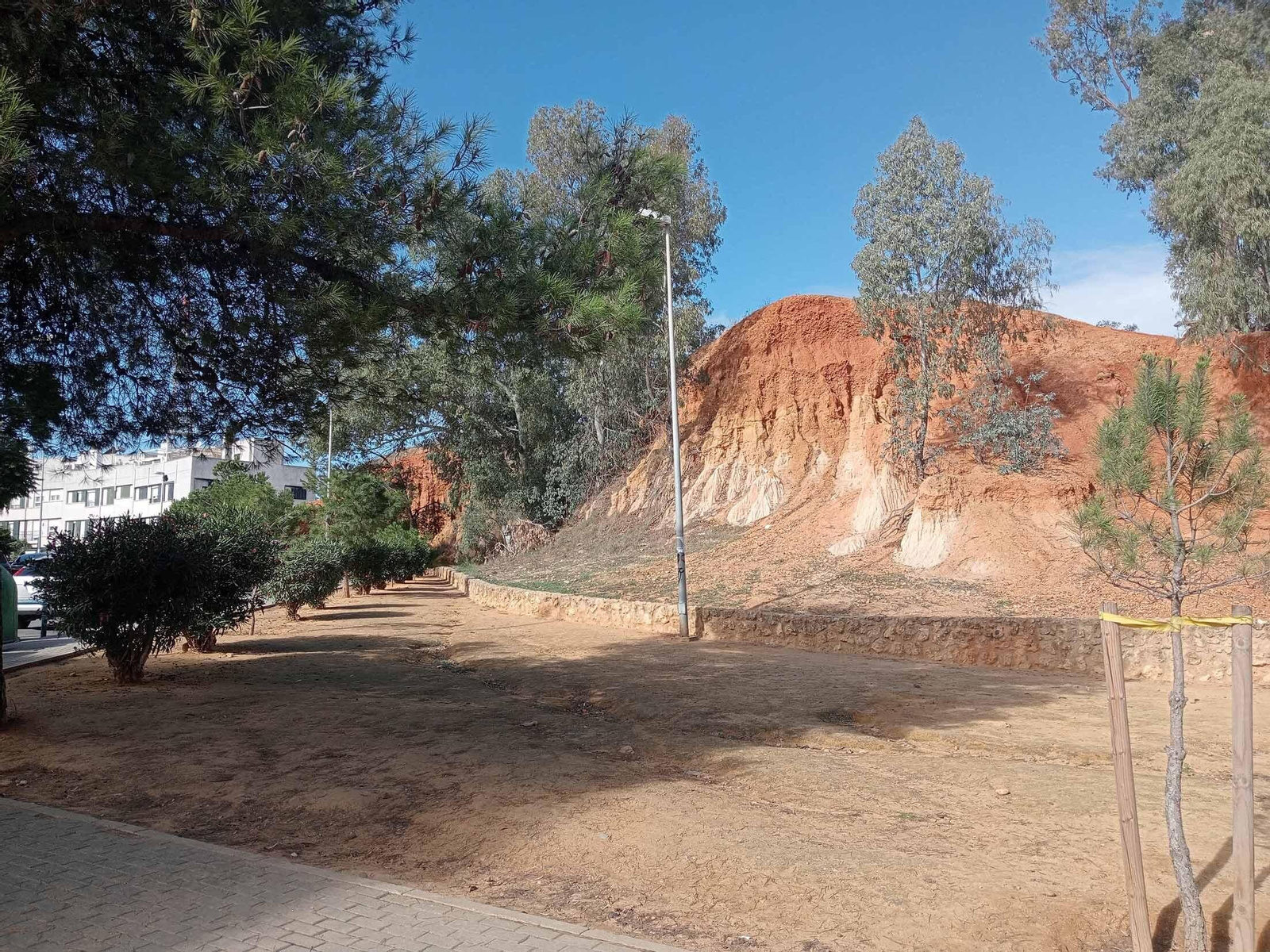 Barrio a Barrio: Imágenes de San Antonio