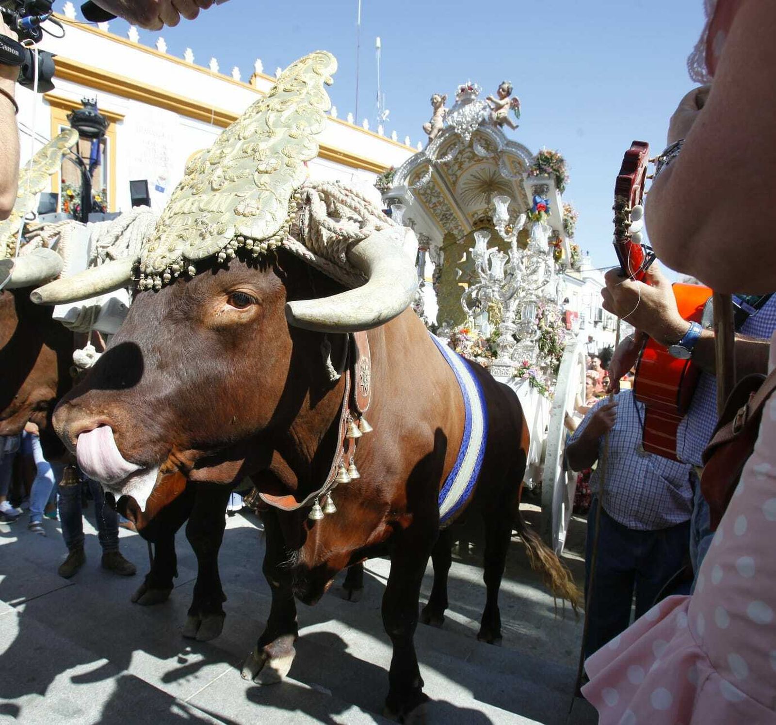 El paso de las hermandades del Rocío por Villamanrique, en imágenes