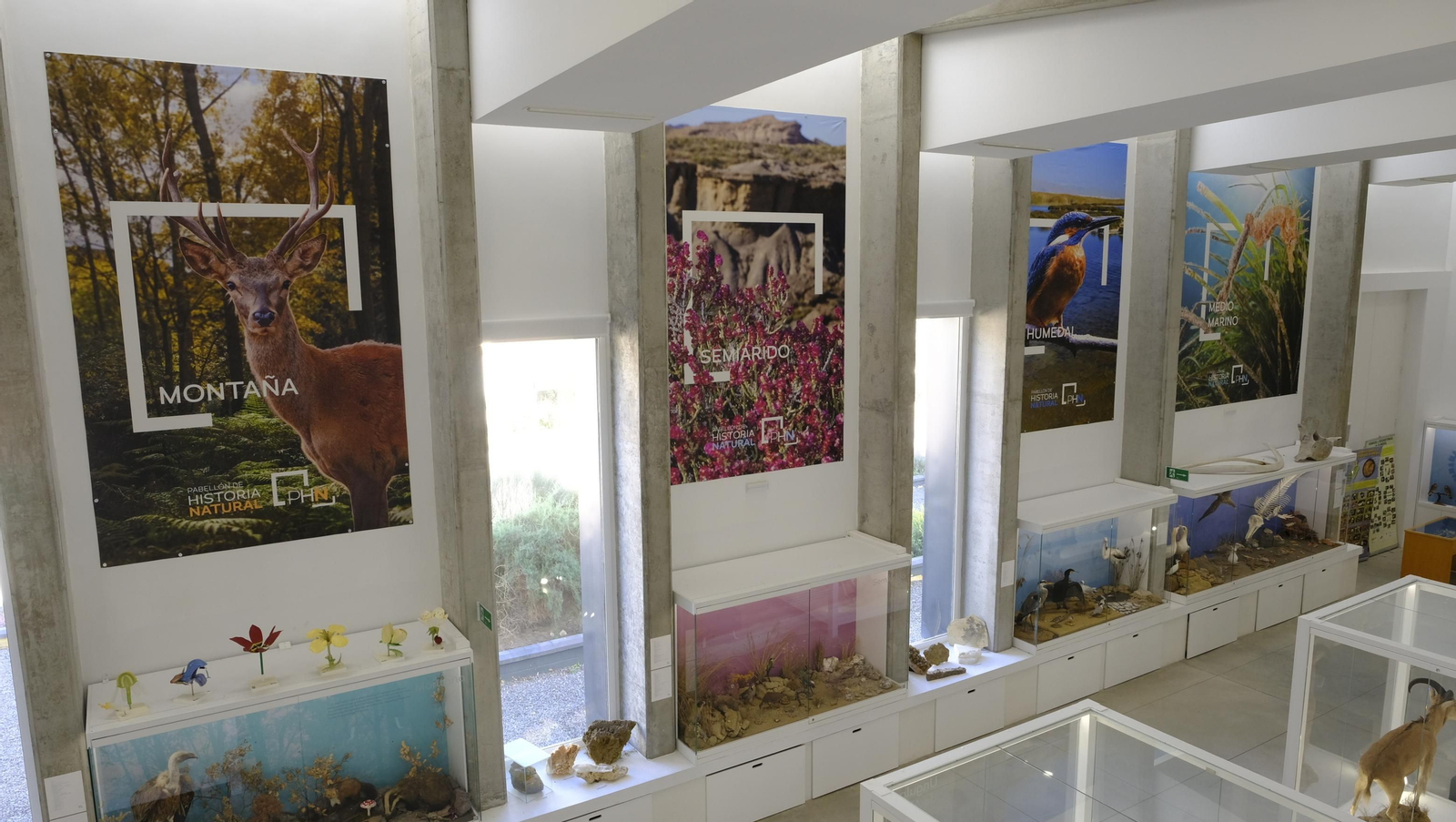 Descubre en estas fotos las maravillas que esconde el Pabellón de Historia Natural de la UAL