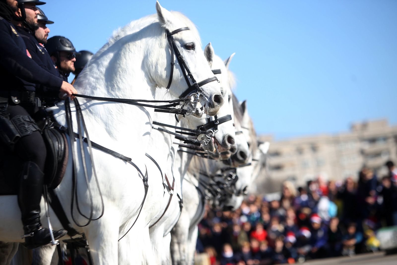 Exhibición policial por la campaña de Reyes Magos