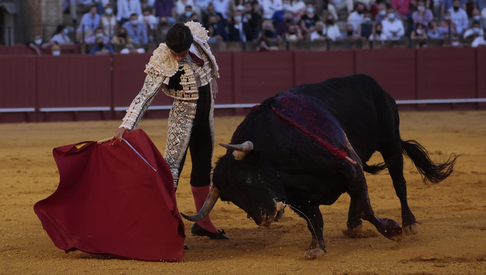 Las imágenes del primer festejo de San Miguel