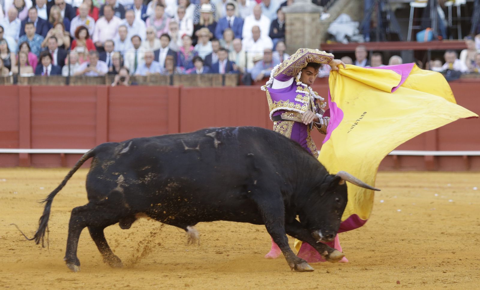 Cayetano Rivera Ordóñez.