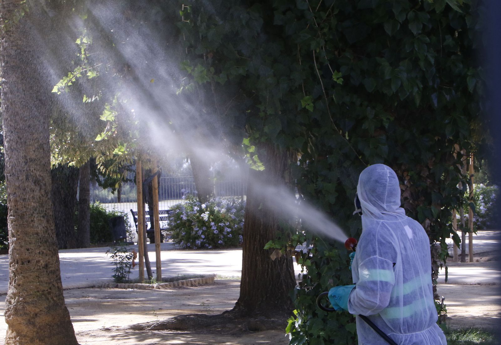 Un operario fumigando en Coria del Río.