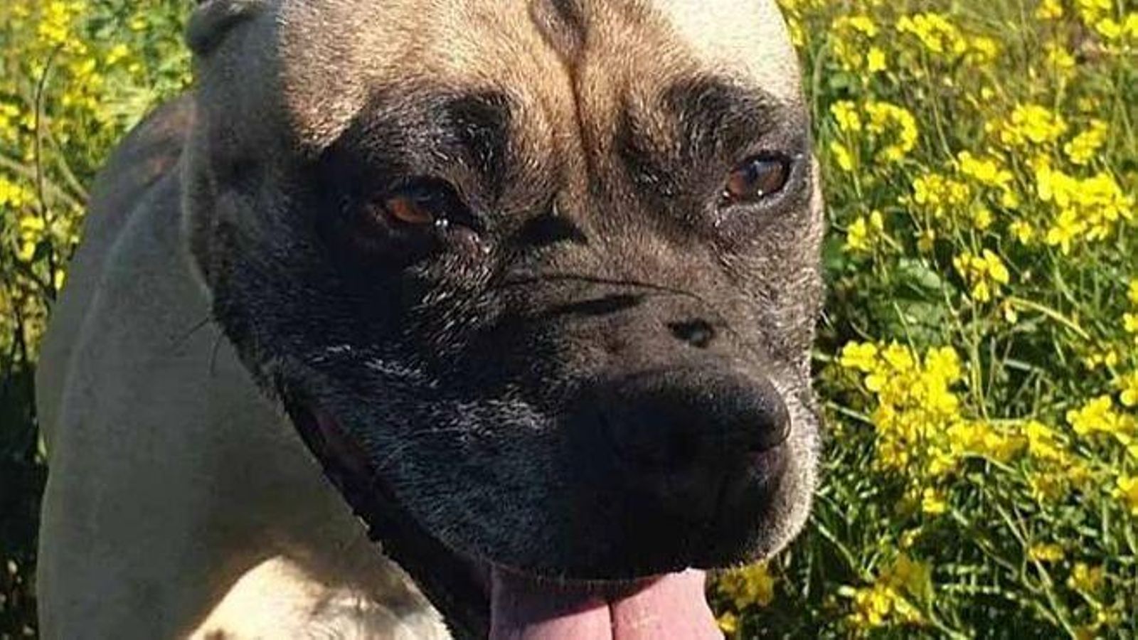 La familia de Dina tuvo un problema de salud y nunca más supieron de ella.