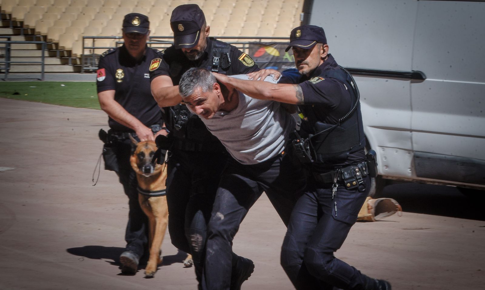 La exhibición policial con participación de la Unidad Aérea, Guías Caninos y Caballería, en imágenes