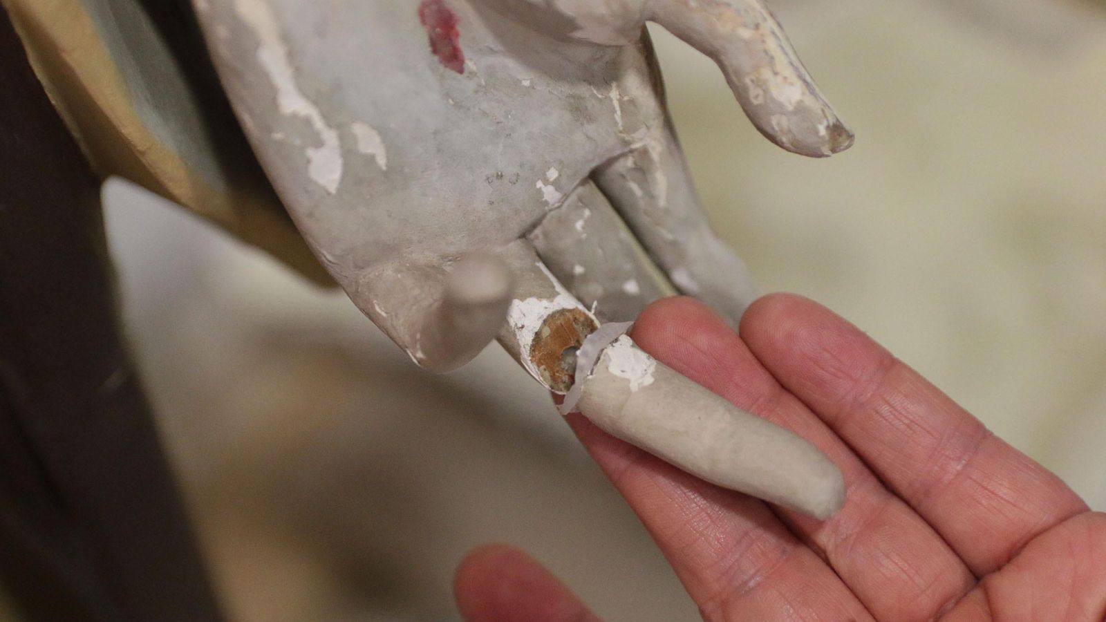 Una de las falanges diseccionadas que fueron pegadas con silicona