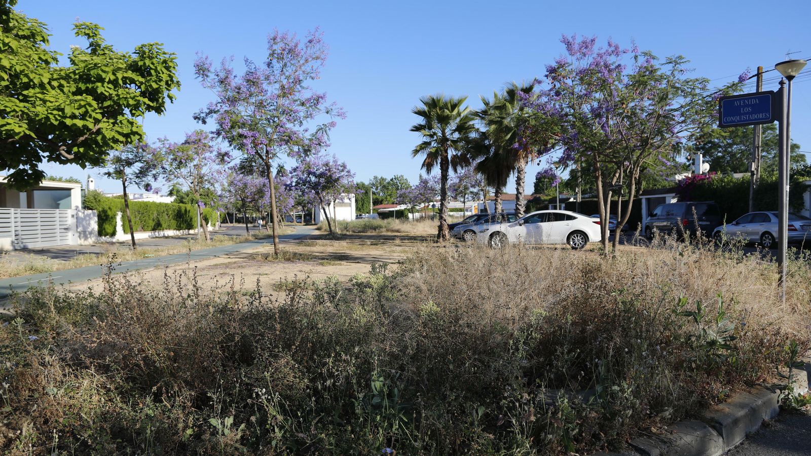 Estado actual de la Avenida de los Conquistadores.