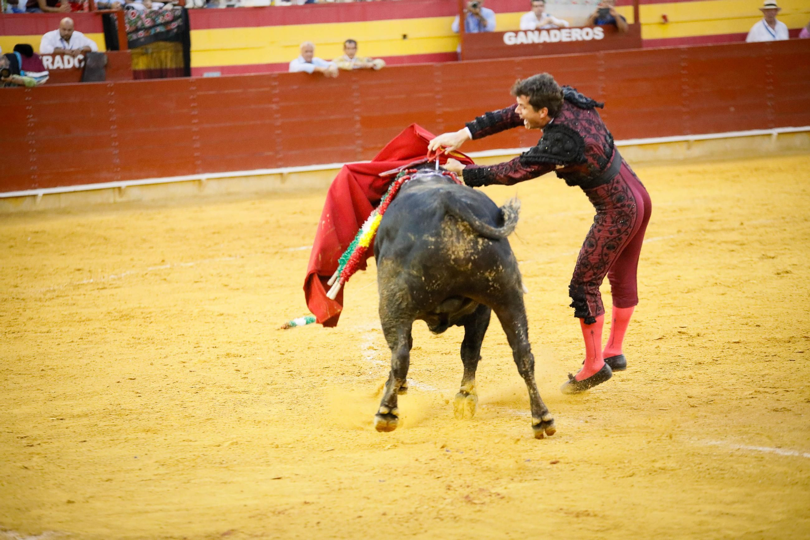 Imágenes de la corrida de toros en Roquetas de Mar