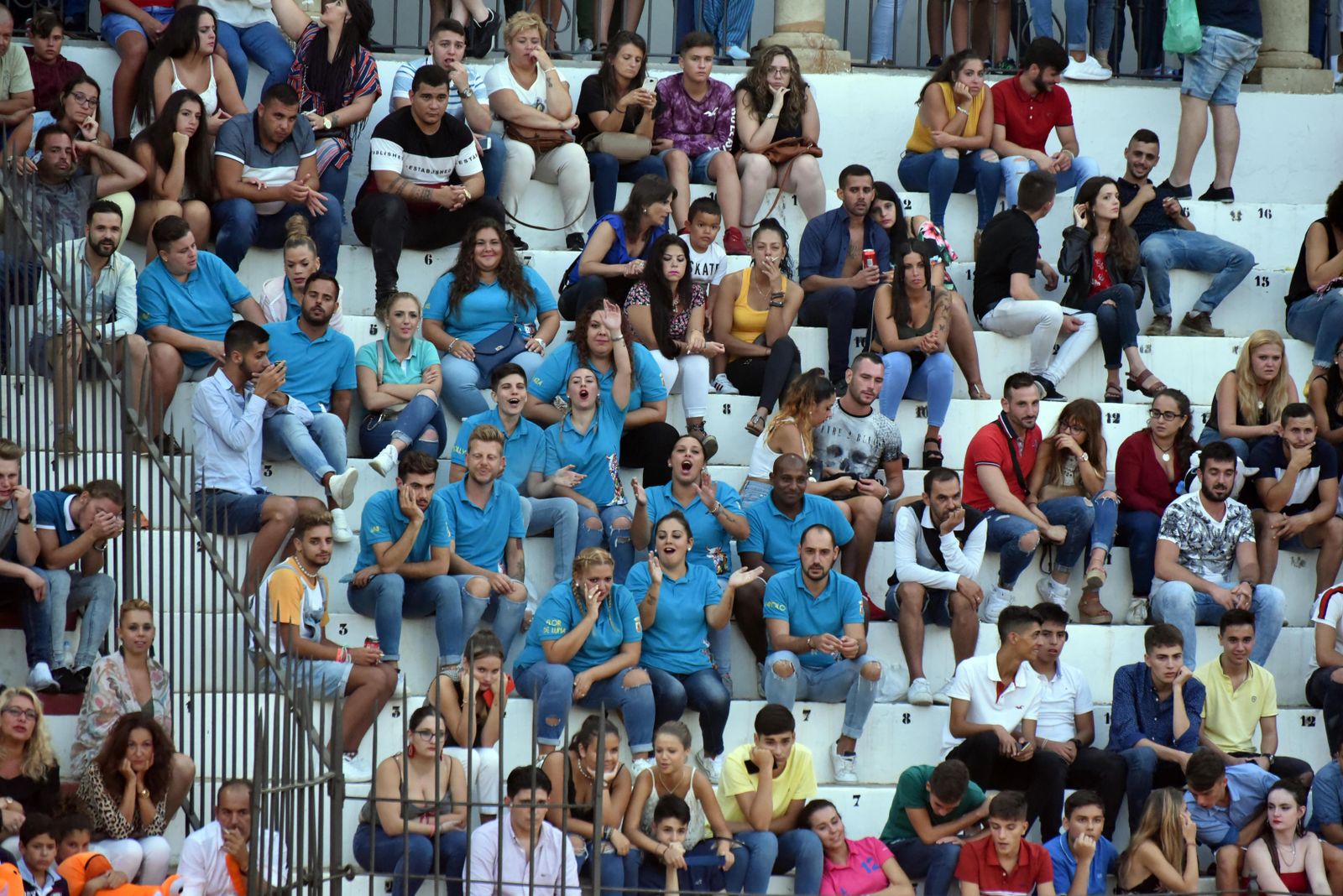 Toro del Aguardiente