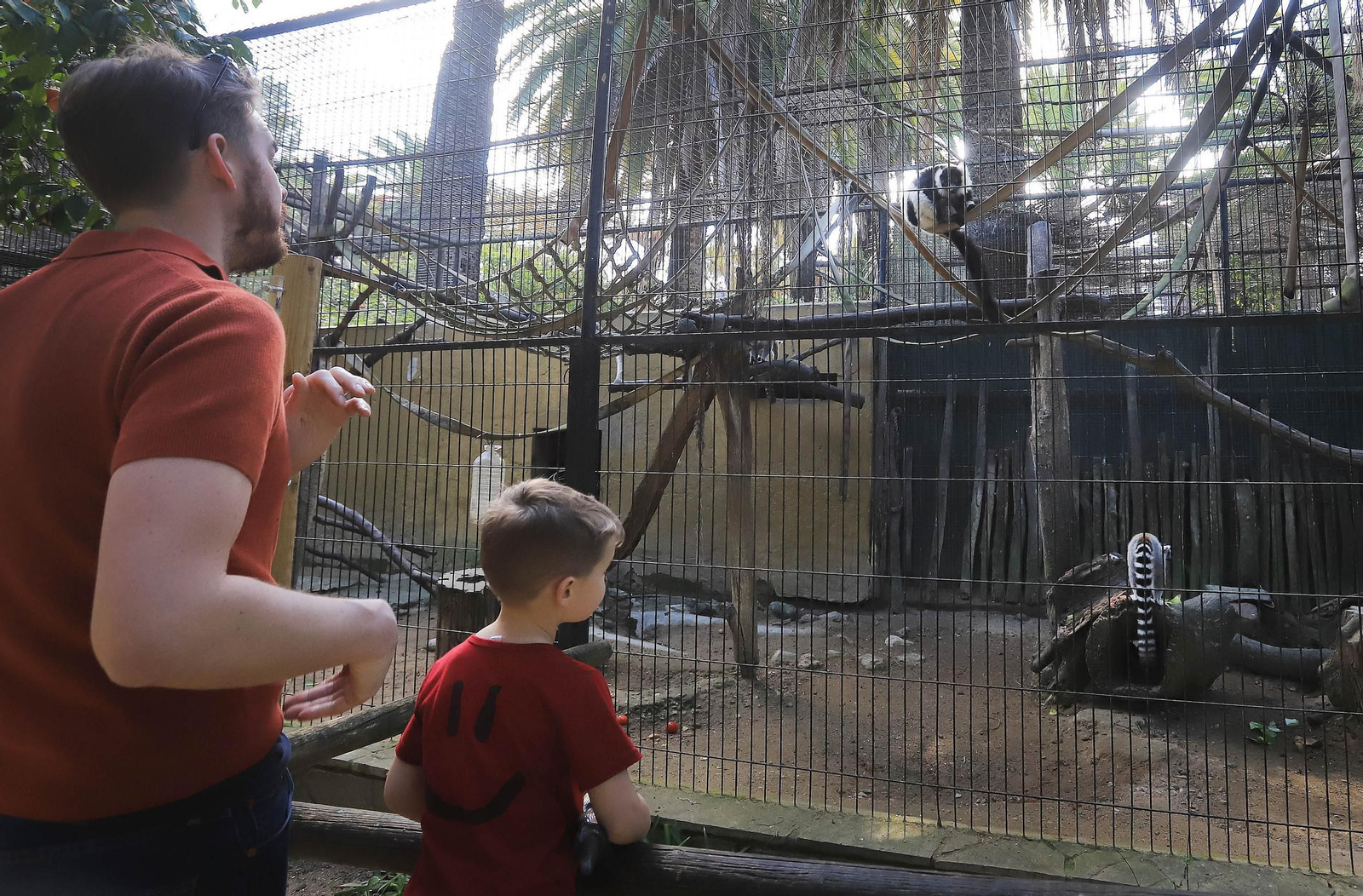 El Zoo de Jerez cumple 72 años El Zoo de Jerez cumple 72 años