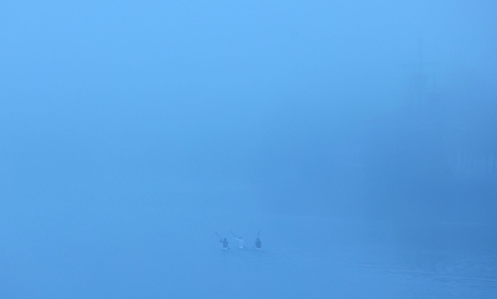 Las imágenes de la niebla en Sevilla