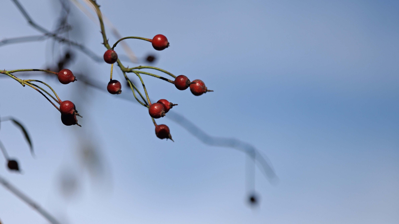 Fotos del estuario del río Guadiaro en San Roque