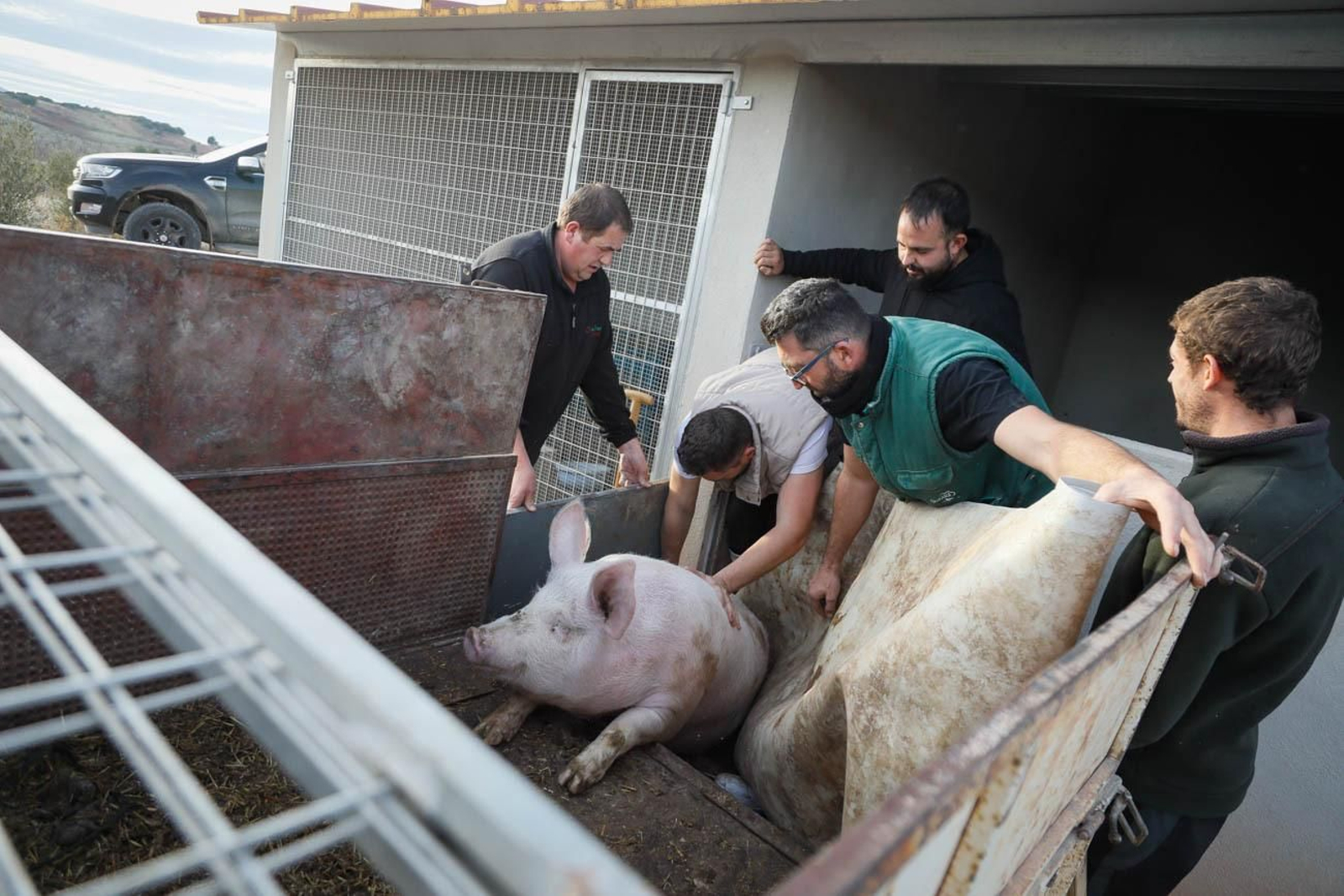 Te contamos en imágenes como son las matanzas en Chirivel