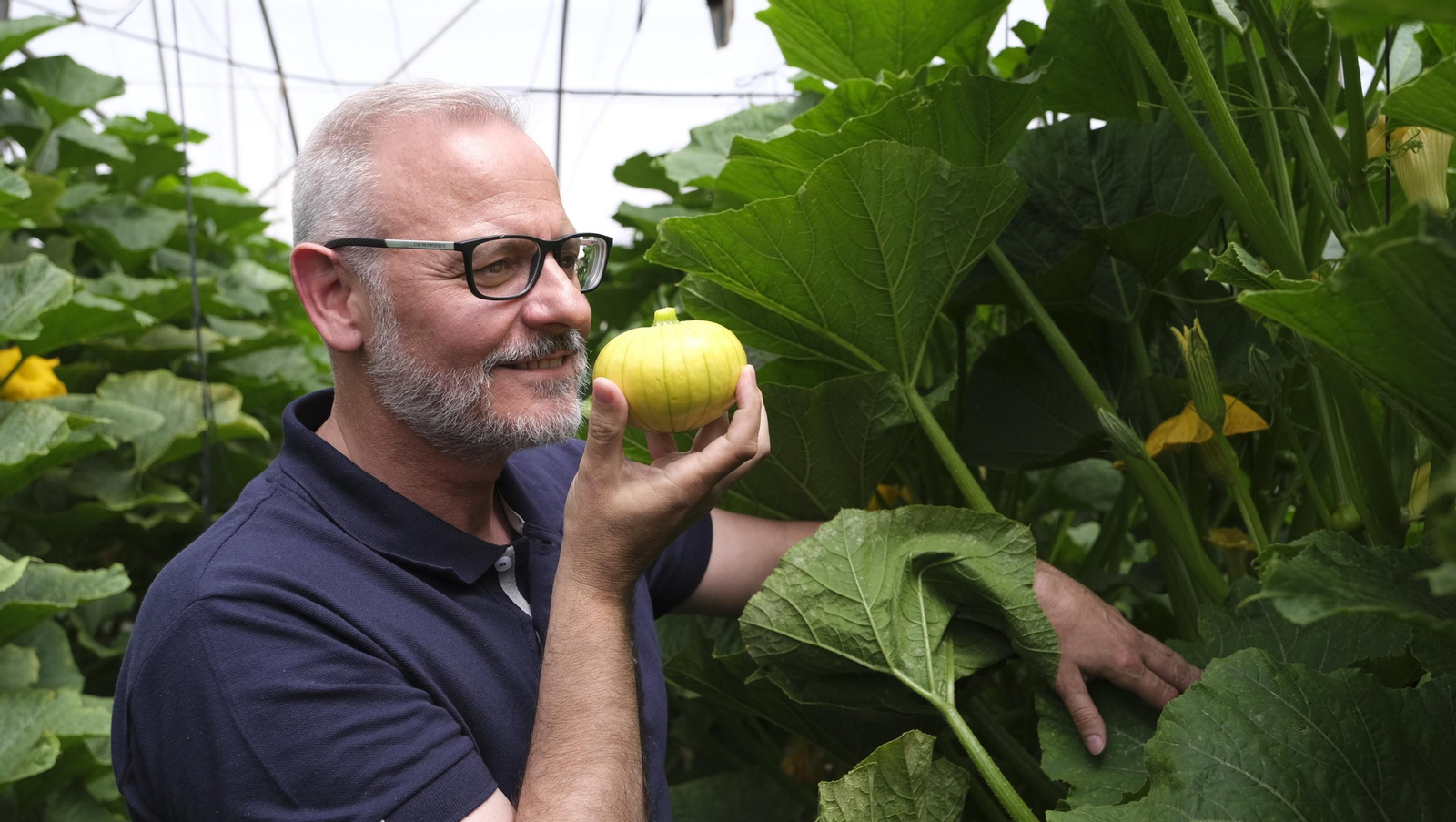 Presentación del nuevo producto de Beyond Seeds, Zucchielo, en el IFAPA de La Mojonera
