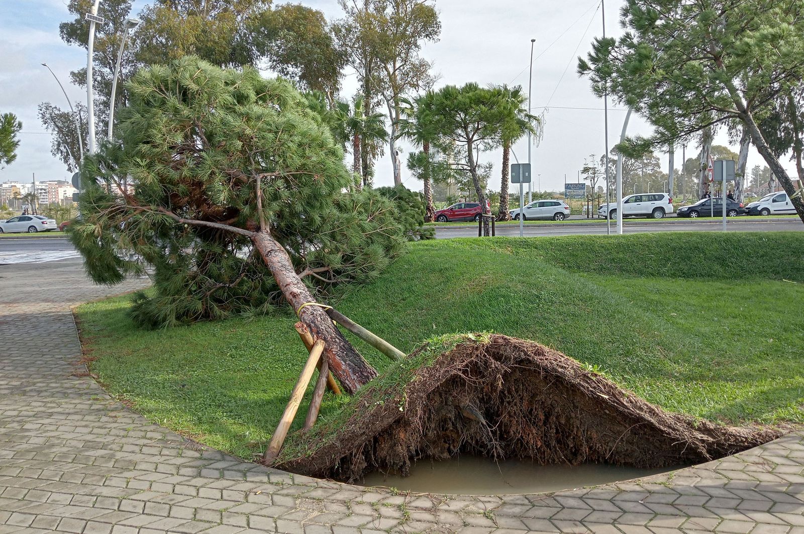 Imágenes del domingo 11 de diciembre en Huelva