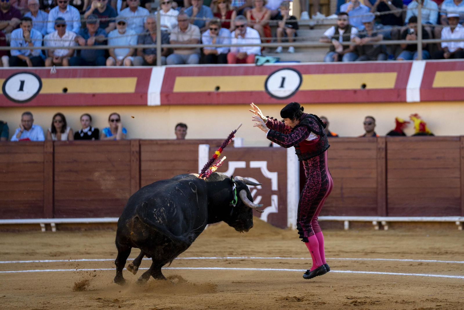 Las imágenes de los toros en Vera