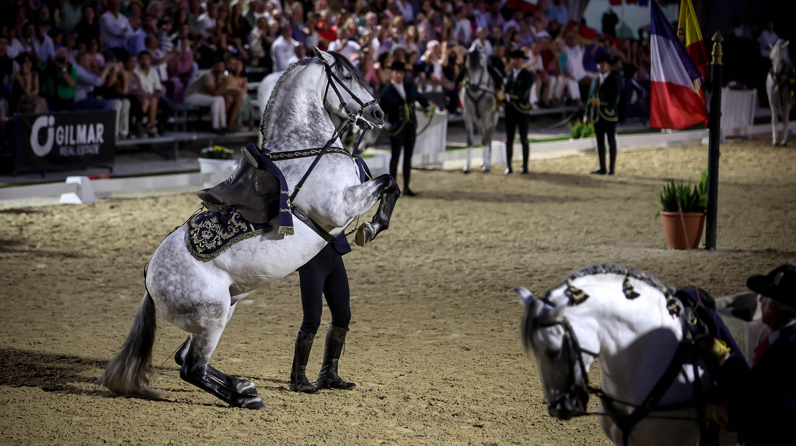 Gran éxito de la Gala de las V Escuelas en Jerez