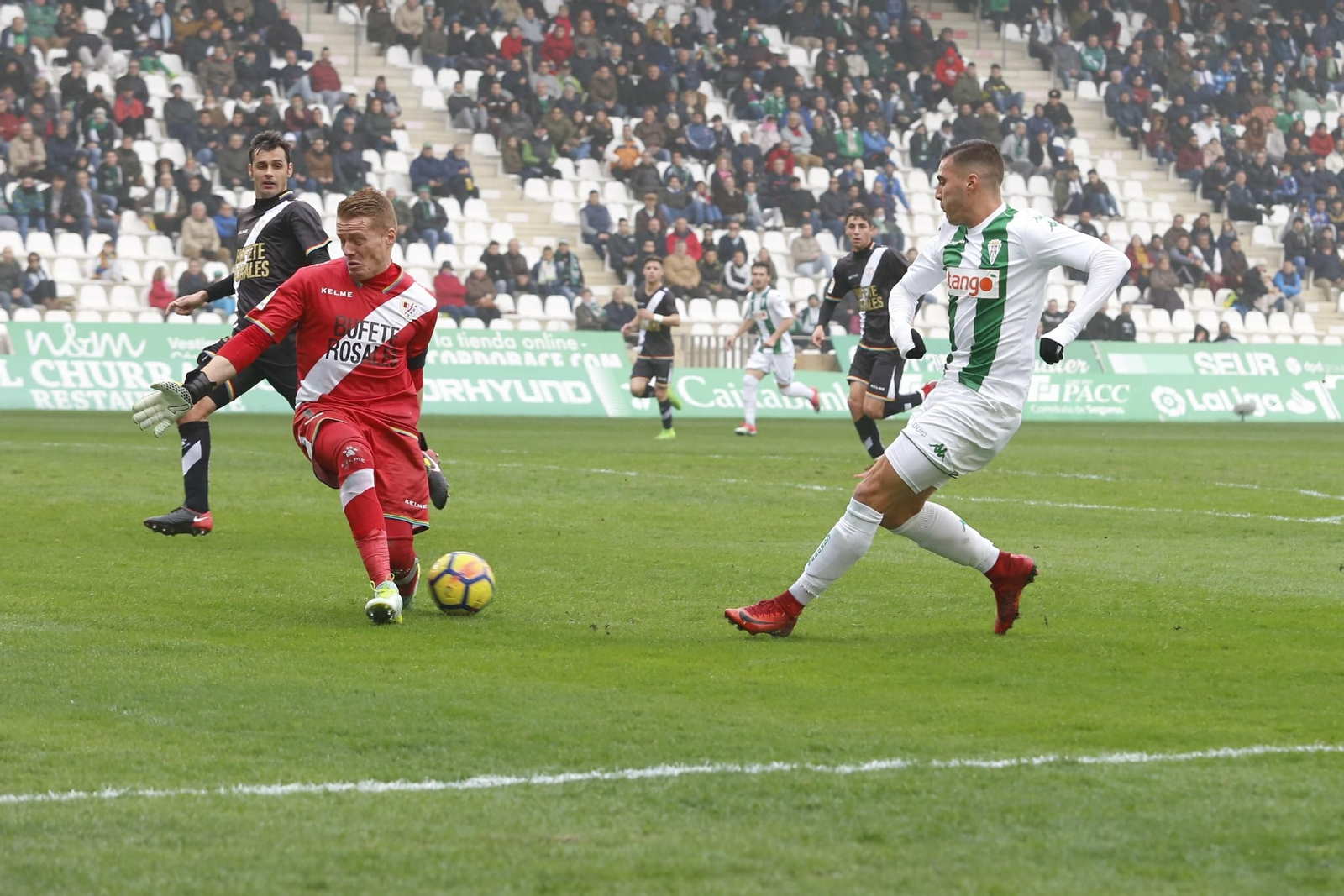Las imágenes del Córdoba-Rayo Vallecano