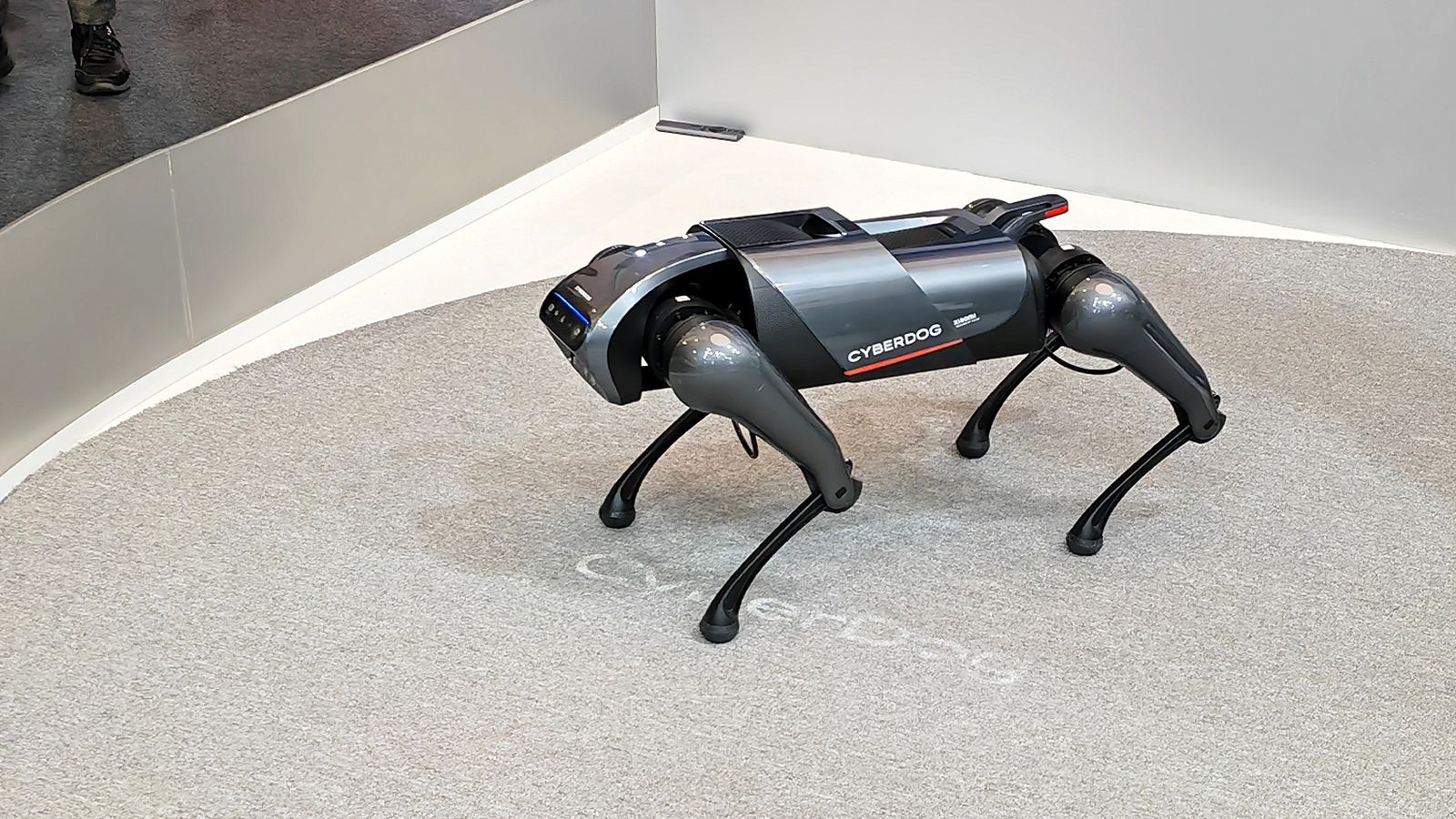El robot CyberDog, en el expositor de Xiaomi en el Mobile World Congress 2023.
