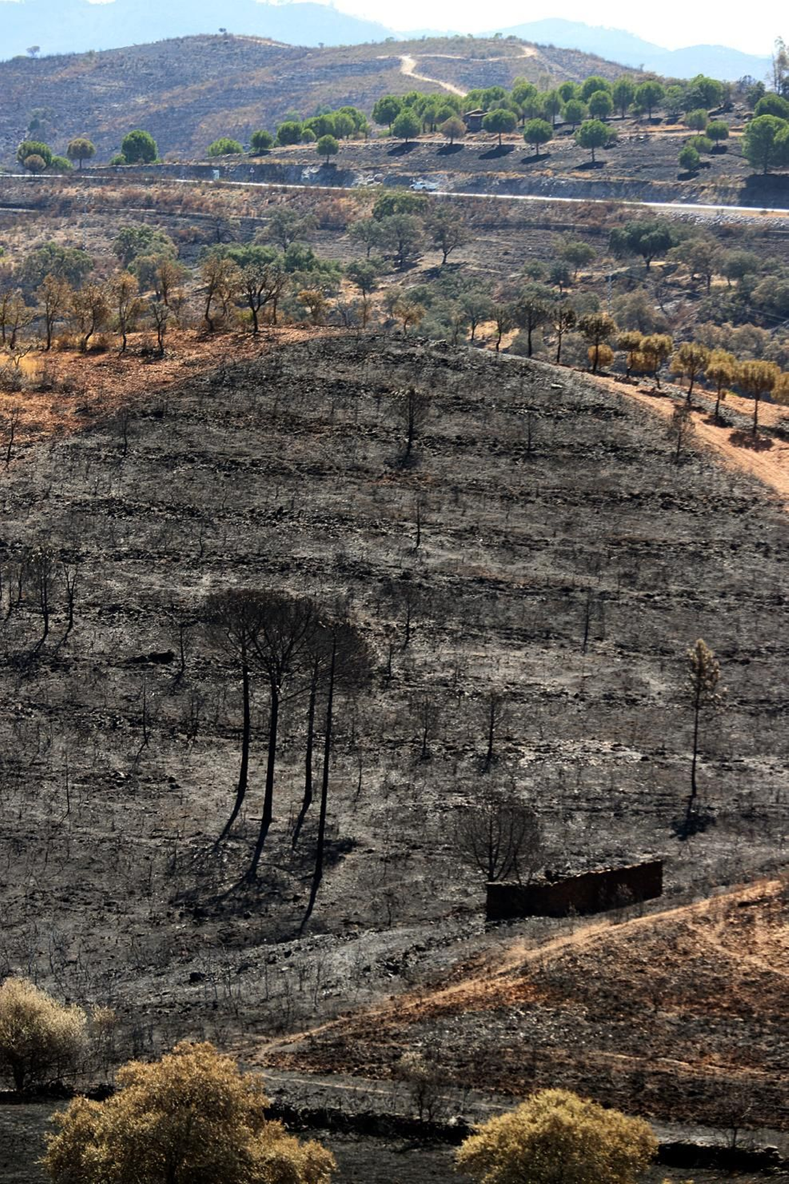 Imágenes de las zonas devastadas por el incendio de Almonaster la Real