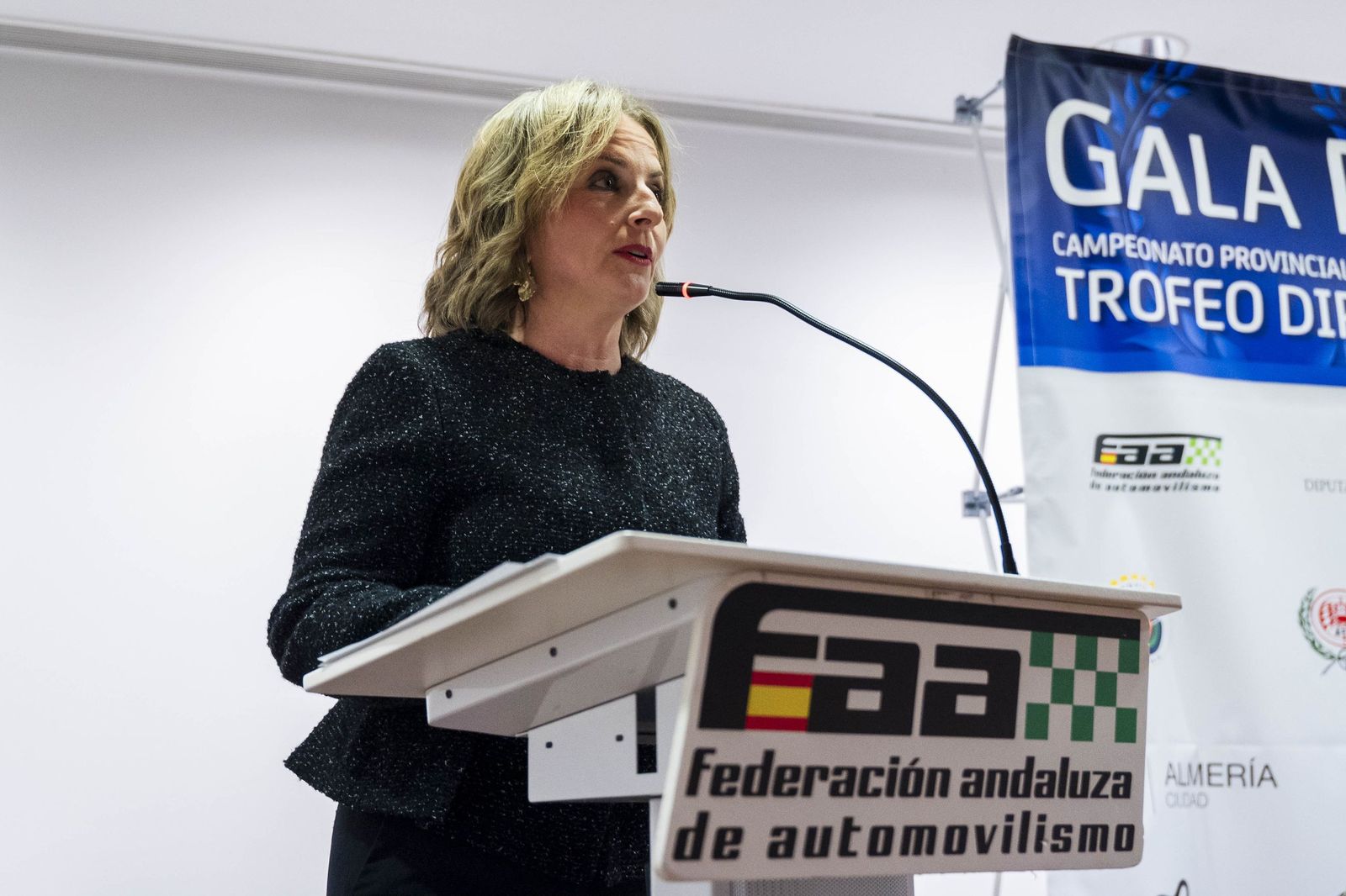 Galardones de los Campeonatos Provinciales de Automovilismo "Trofeos Diputación de Almería", en imágenes