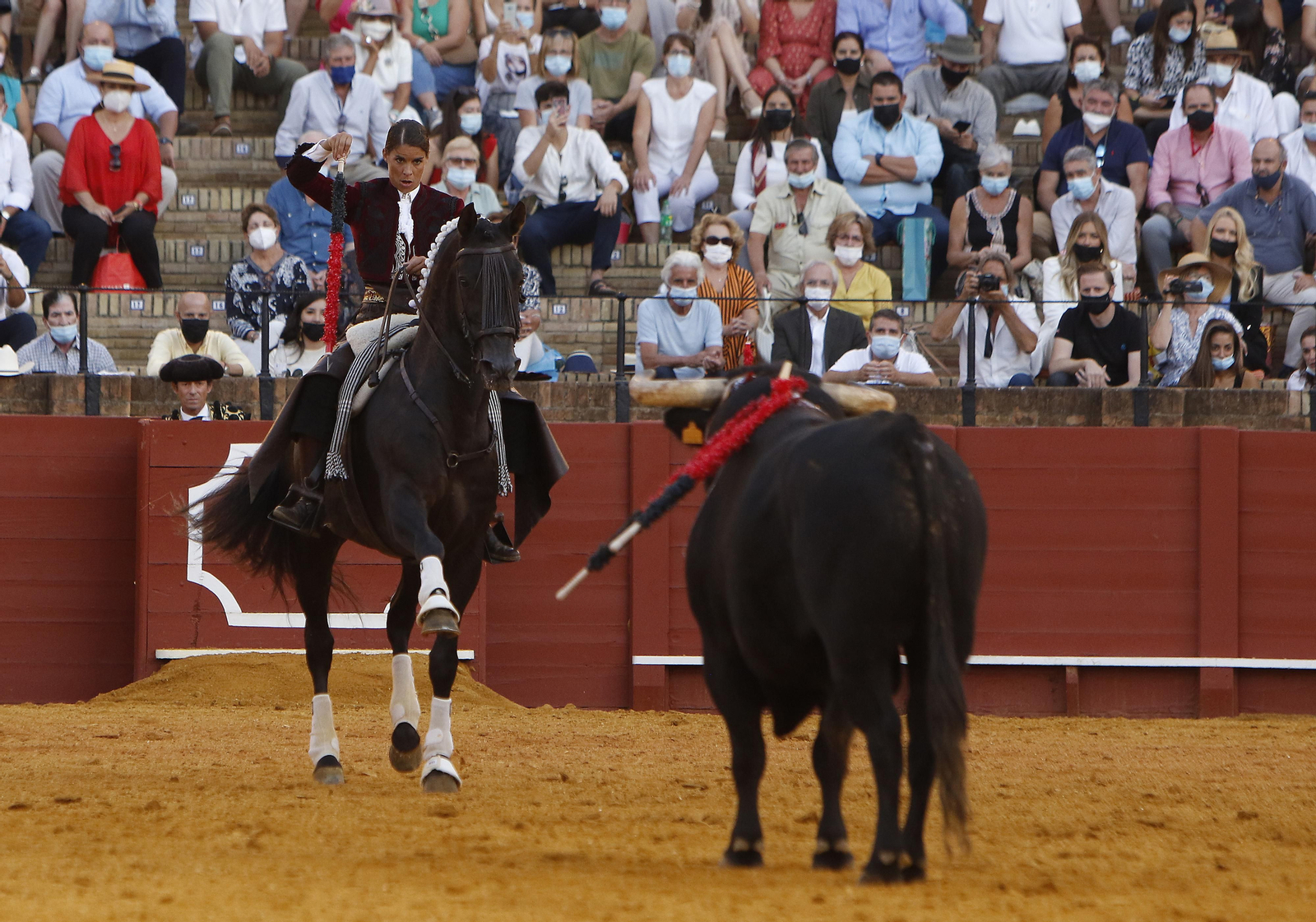 Toros. Corrida de rejones