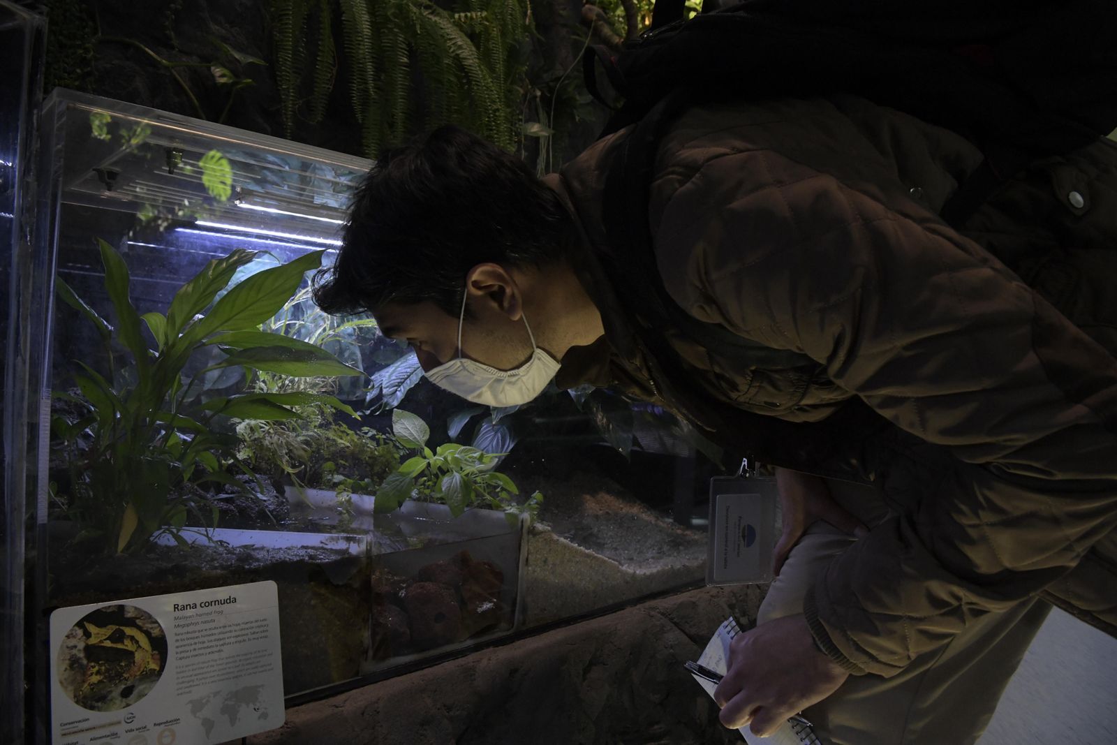 UGT Granada clama por la falta de garantías laborales en el Parque de las Ciencias
