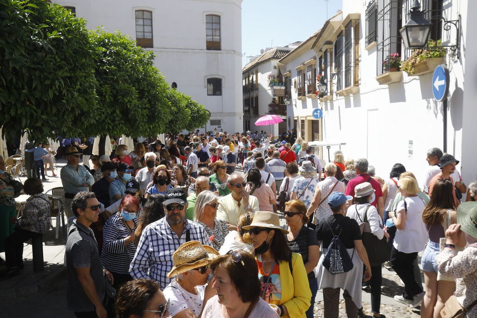 Centenares de personas en el Alcázar Viejo esperan su turno para visitar los patios.