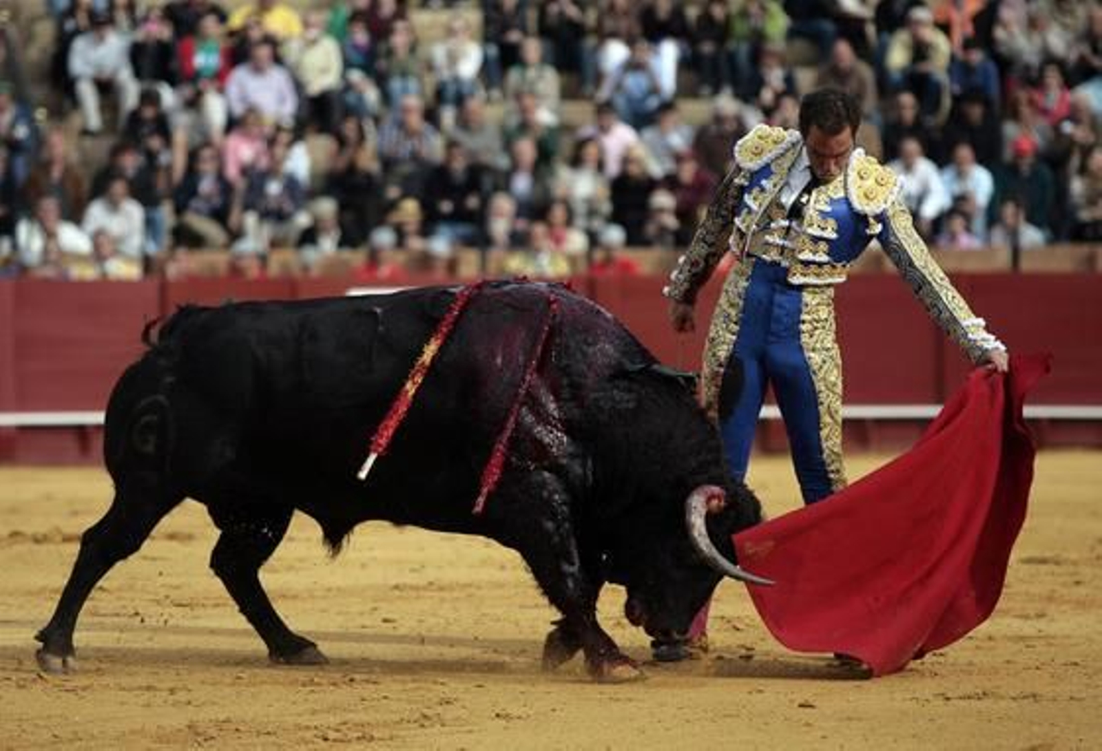 El diestro Salvador Cortés abrió la tarde en la Maestranza.

Foto: Juan Carlos Muñoz