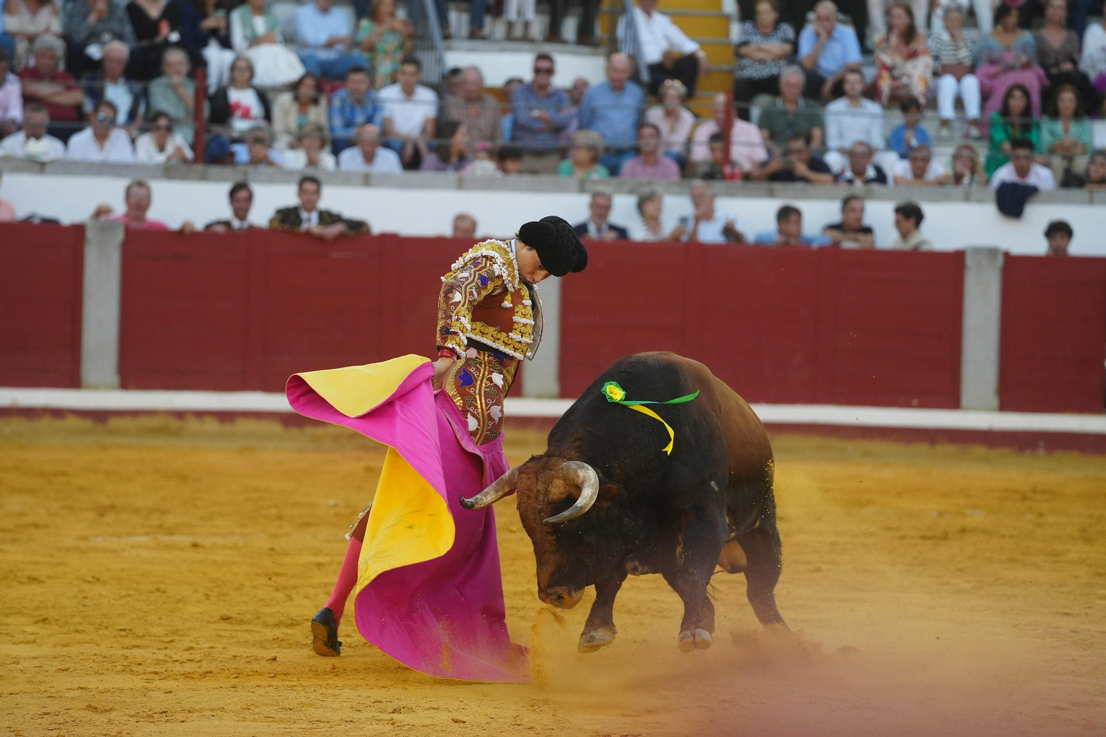 El triunfo de Rocío Romero, Manzanares y Roca Rey en la plaza de toros Pozoblanco, en imágenes