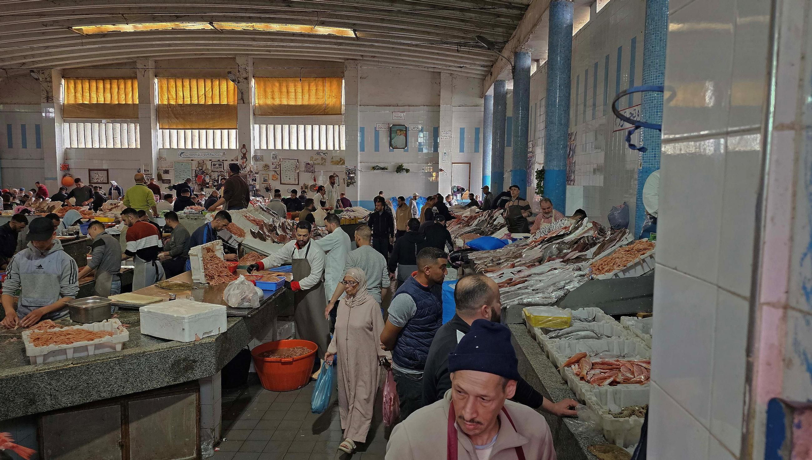 La sección de pescadería es una novela por entregas.