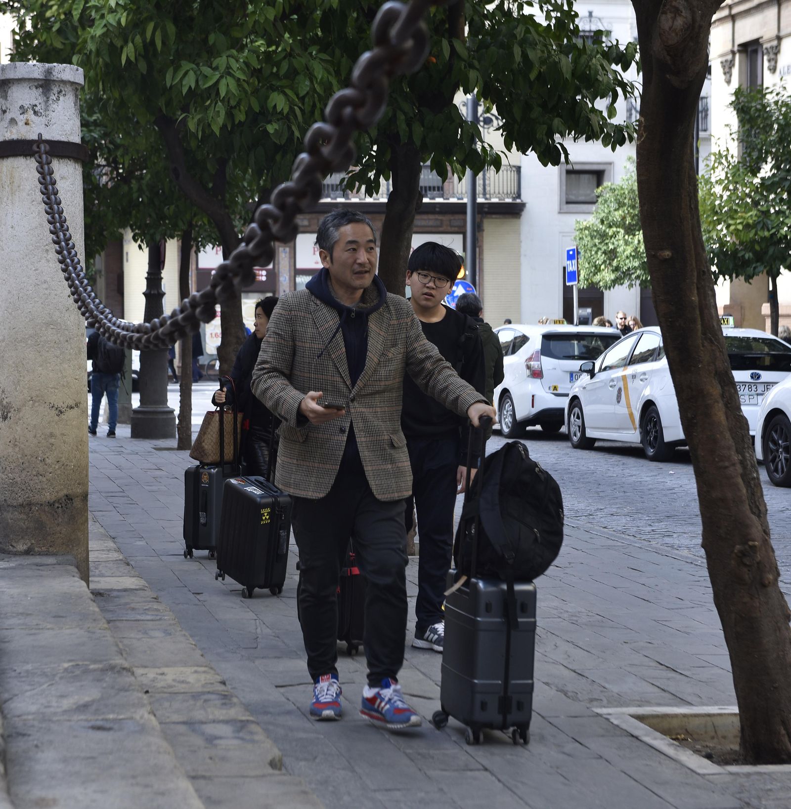 Unos turistas cargan con sus maletas por la calle Alemanes.