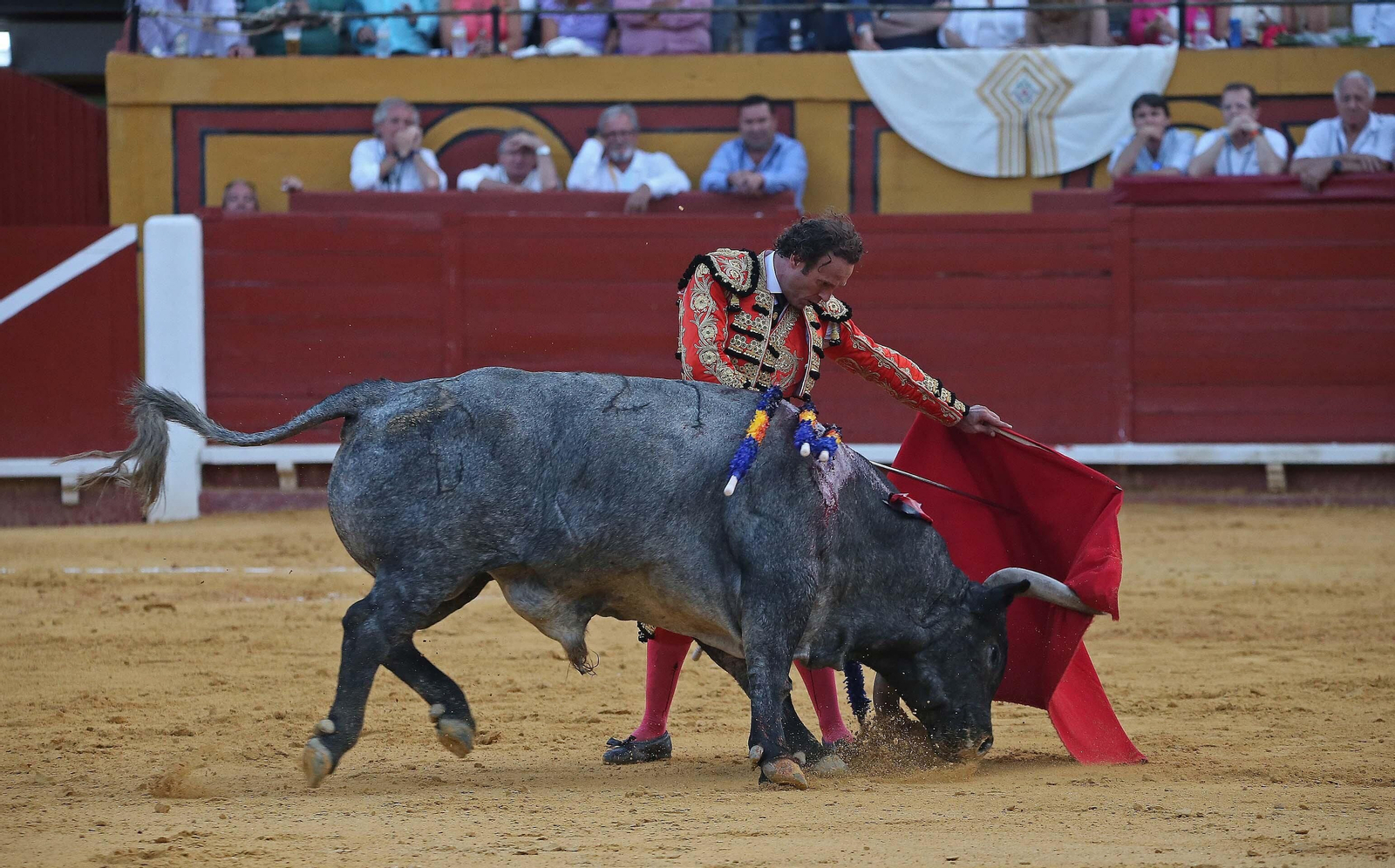 Fotos de la corrida del sábado de la Feria Taurina de Algeciras 2023: Antonio Ferrera, Manuel Escribano y Miguel Ángel Pacheco