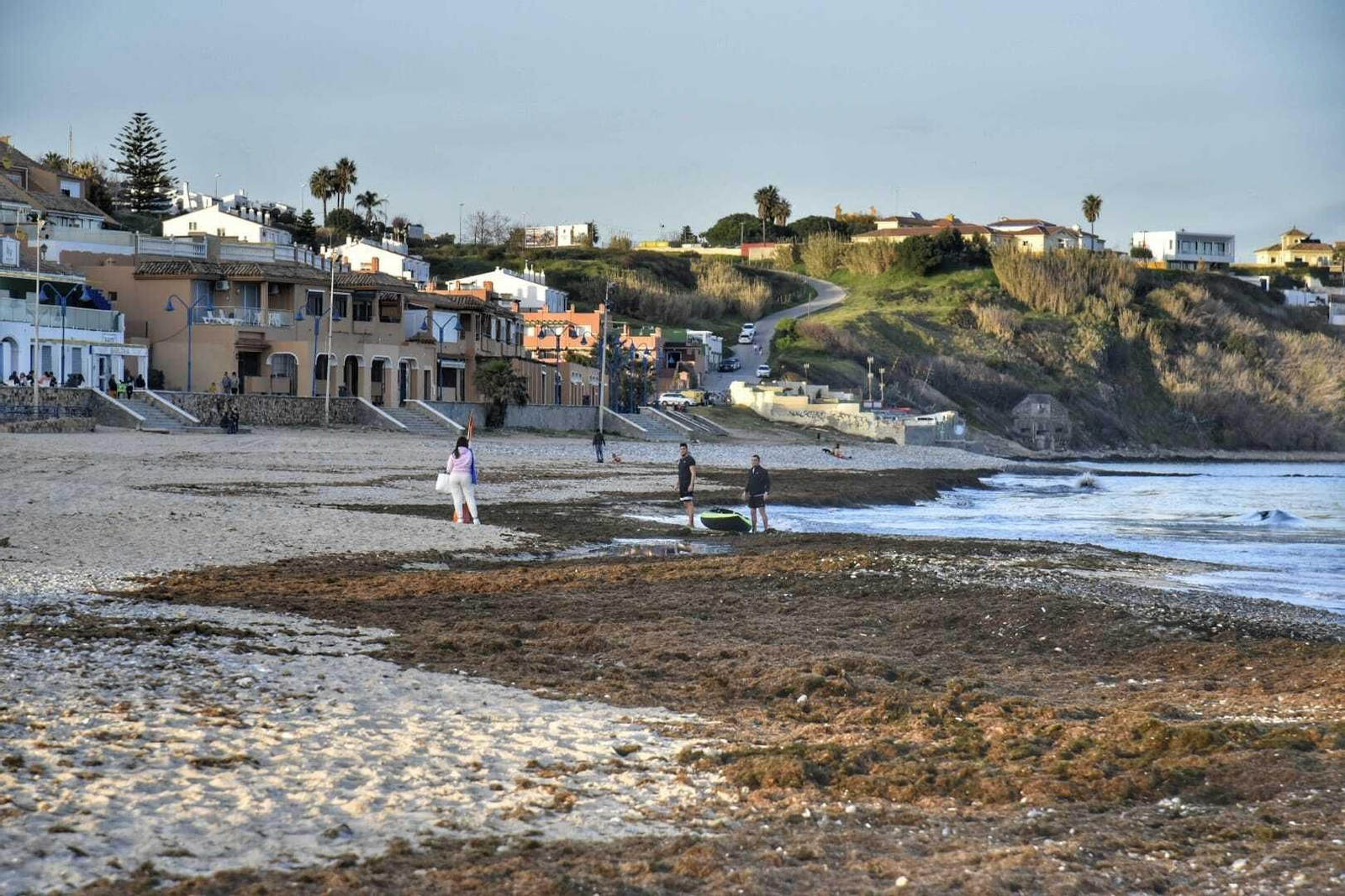La playa de Getares, cubierta de algas.