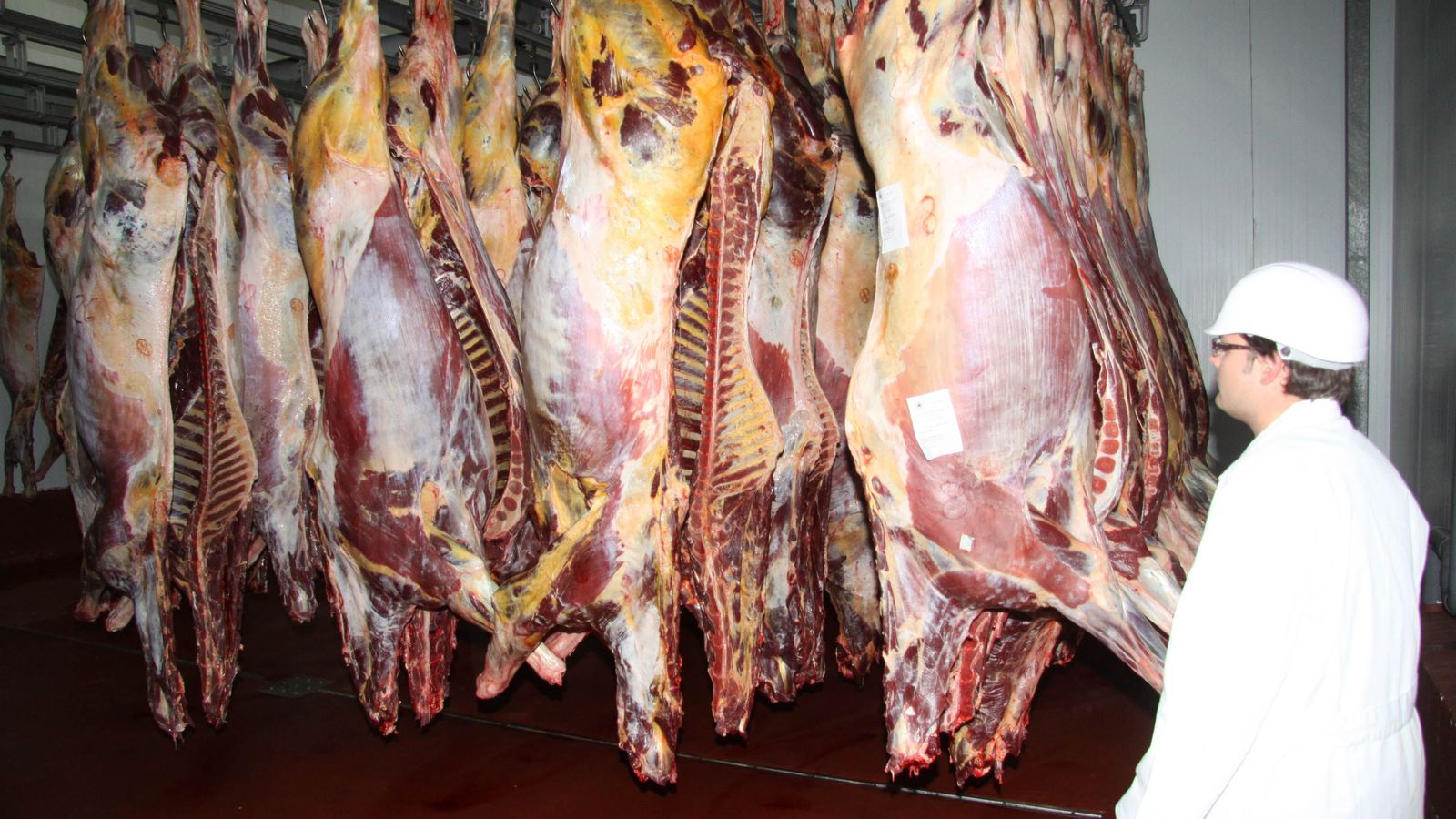 Un matadero español.