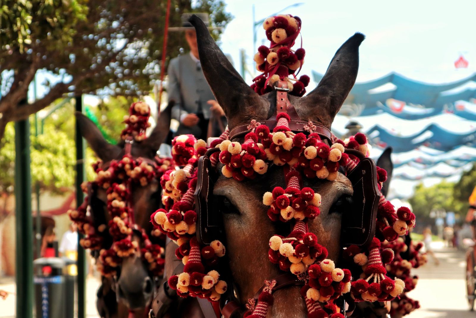 Feria de Málaga: el miércoles 16 de agosto en imágenes