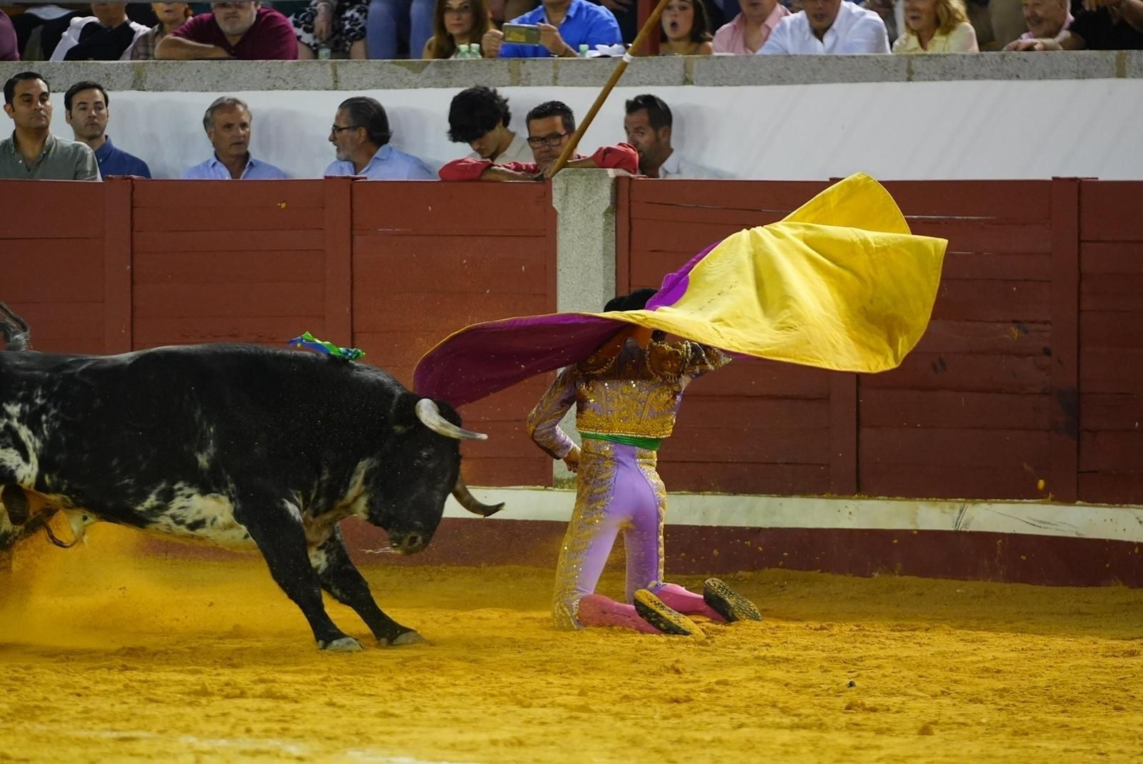 Las mejores imágenes de las corridas de toros de la Feria de Pozoblanco