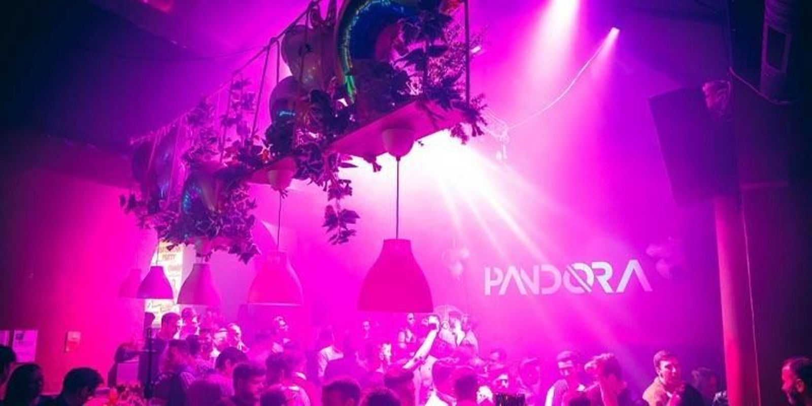 Denuncian una presunta agresión homófoba a la salida de una discoteca