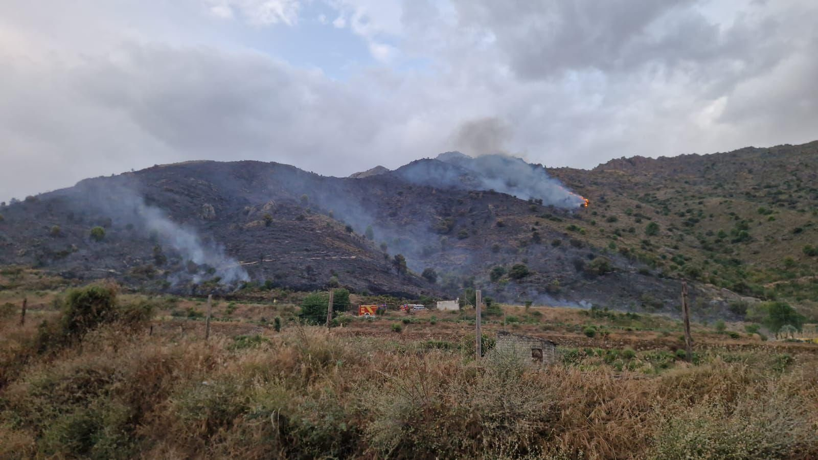 Vista general del incendio.