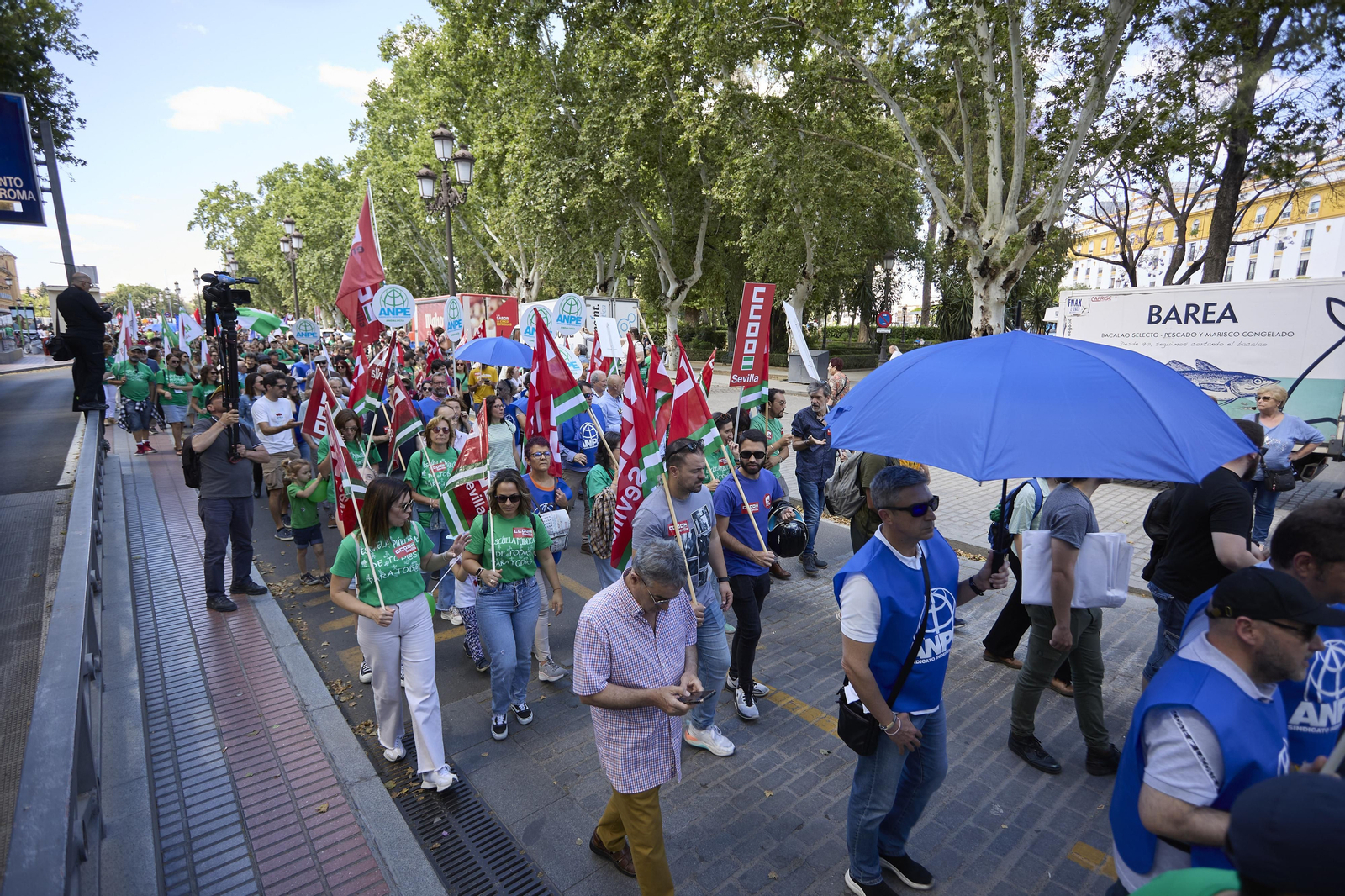 Las imágenes de la manifestación de docentes