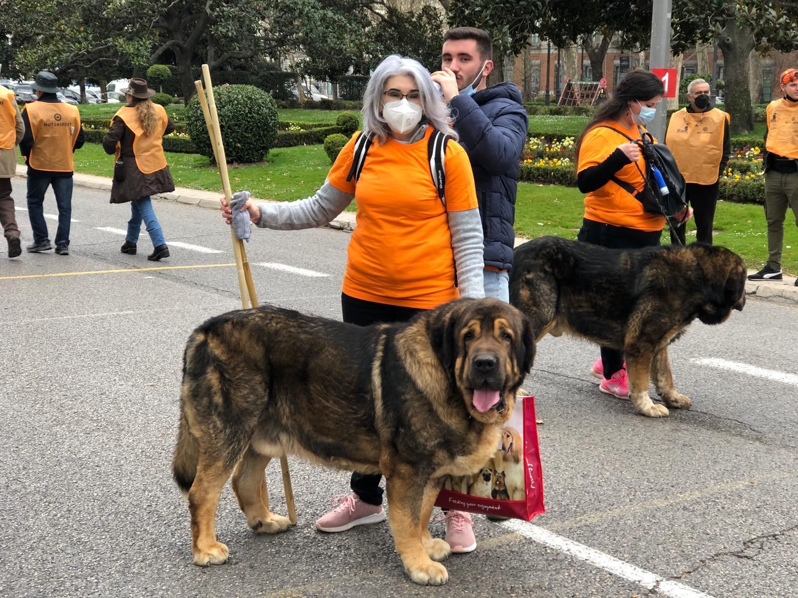 Fotogalería de la manifestación del campo almeriense