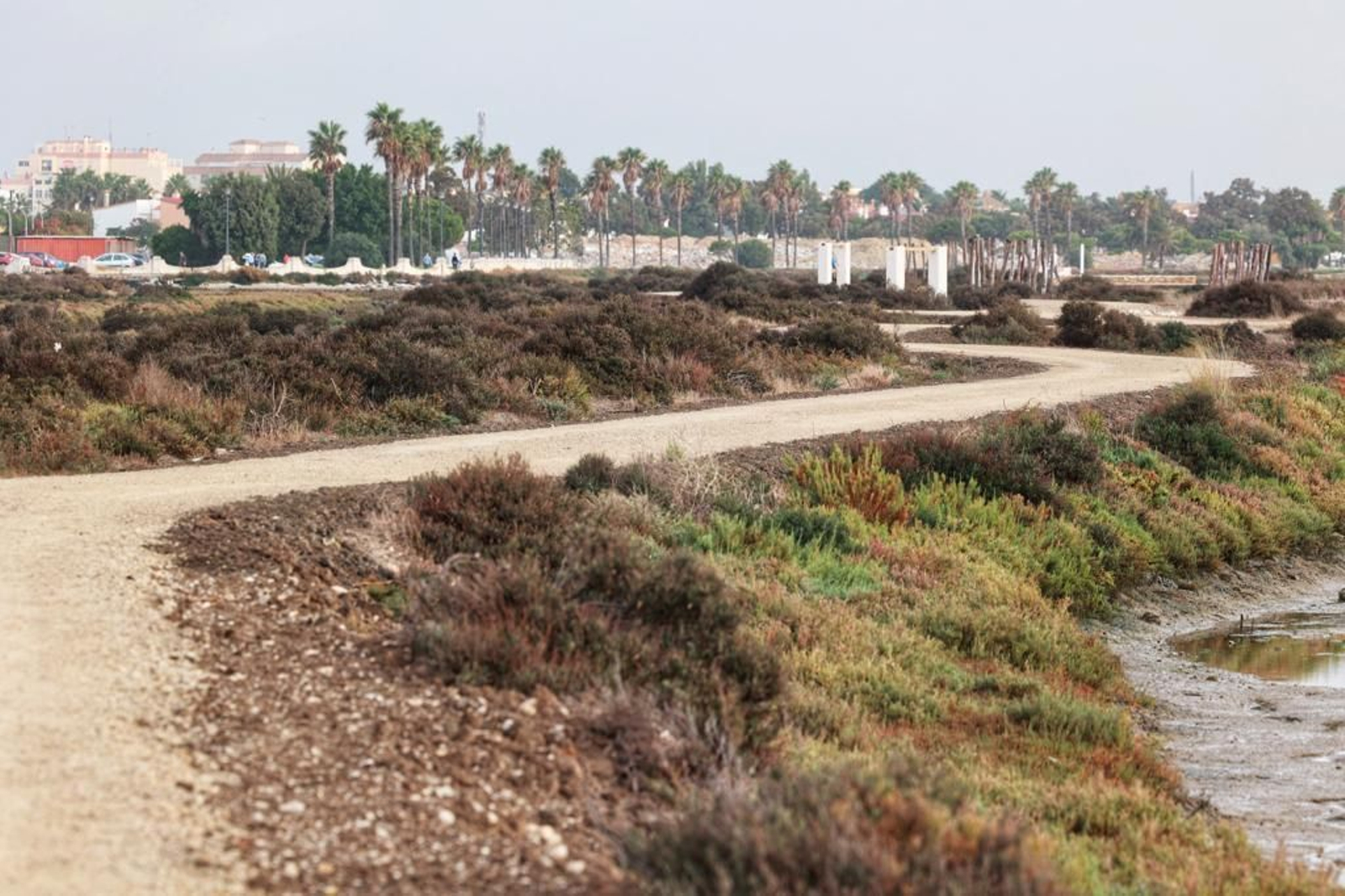 Inauguración del nuevo sendero entre San Fernando y Chiclana