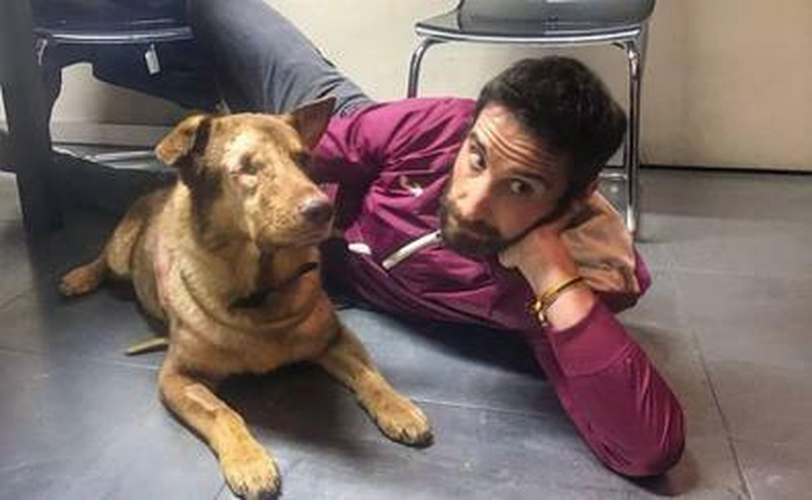 Dani Rovira, con un perro en adopción