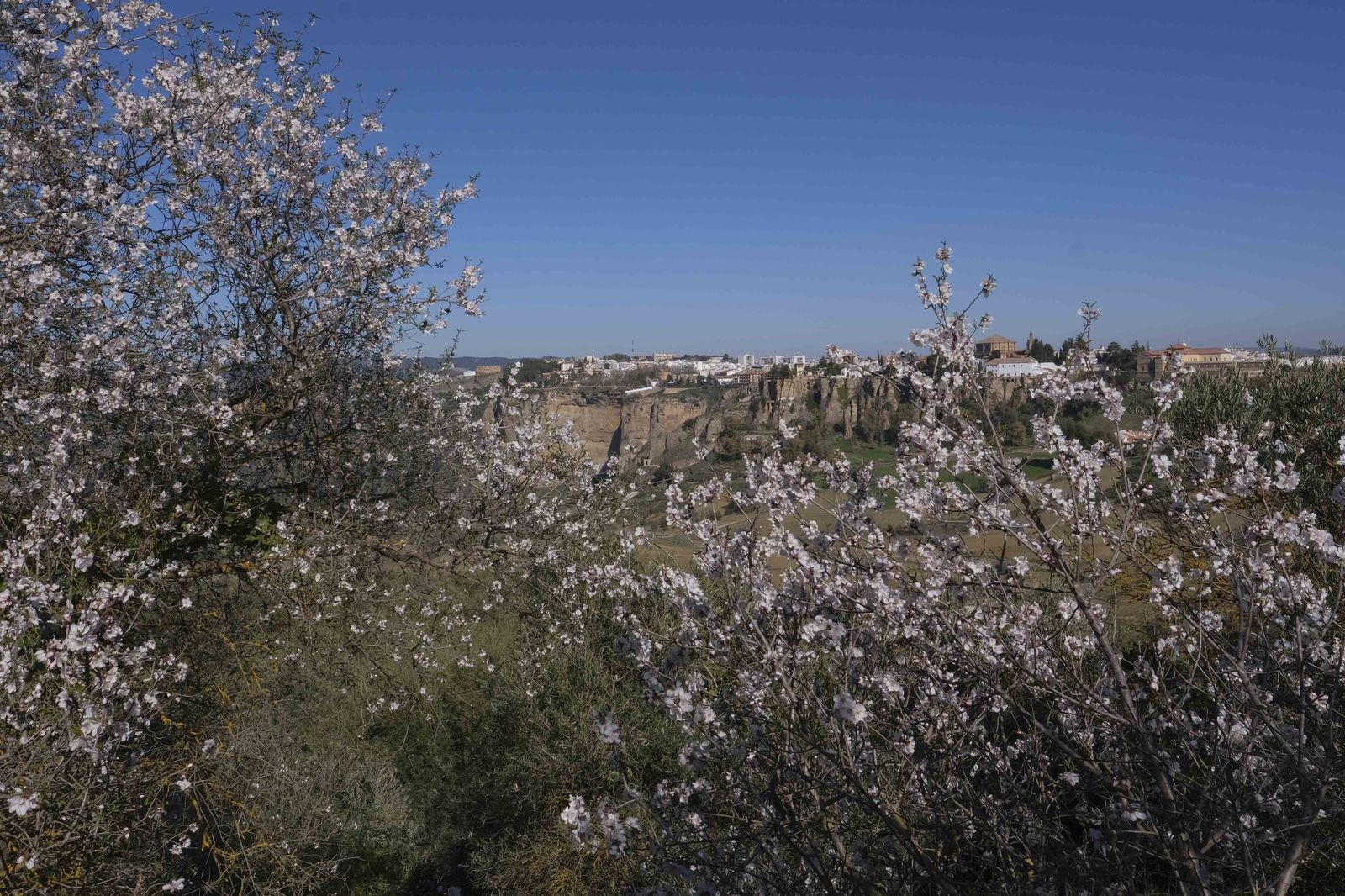 Vista de las cornisas del Tajo de Ronda.