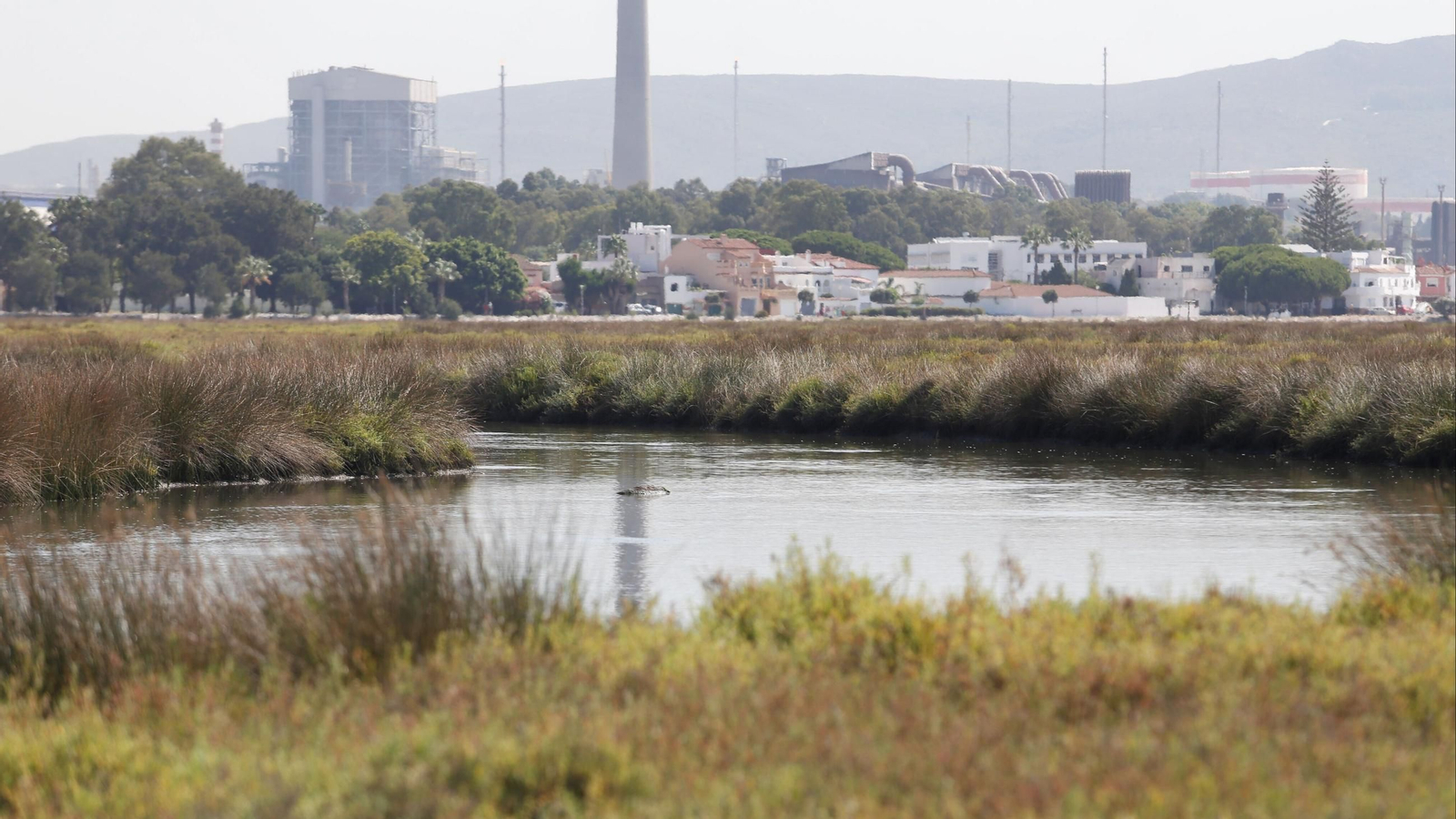 El río Palmones, a su paso por Los Barrios.