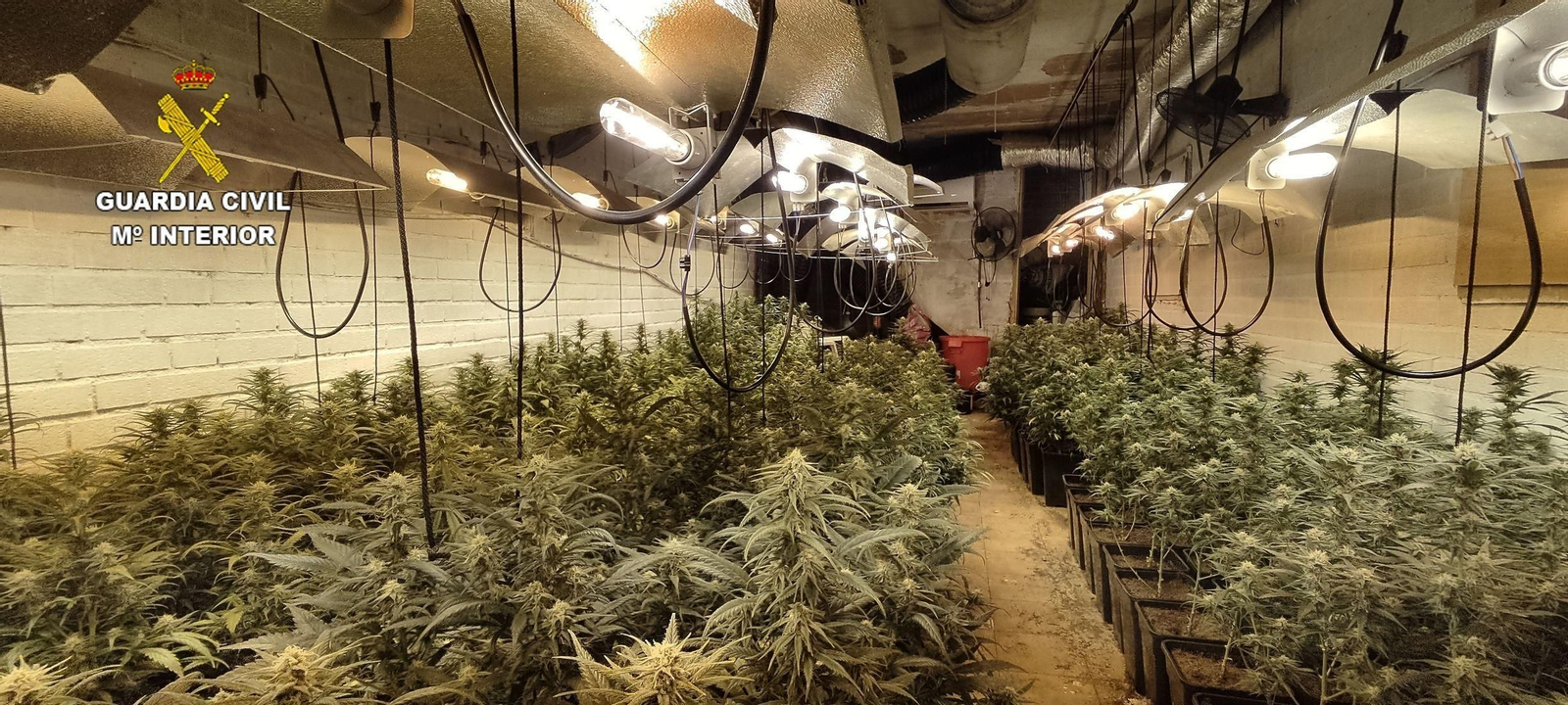 Una plantación de marihuana en el interior de una vivienda, en una imagen de archivo.